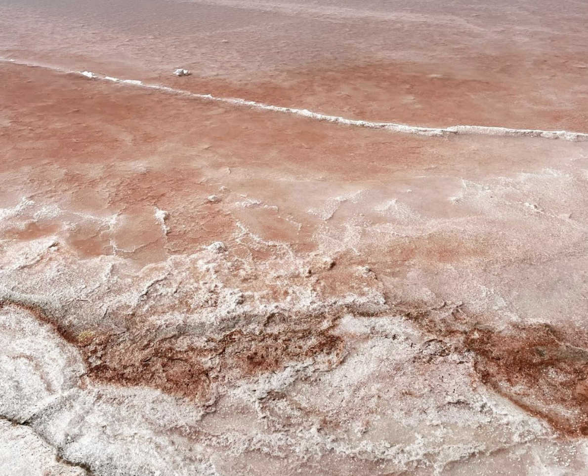 A Salt Anthology, fieldwork in Samouco salt pans