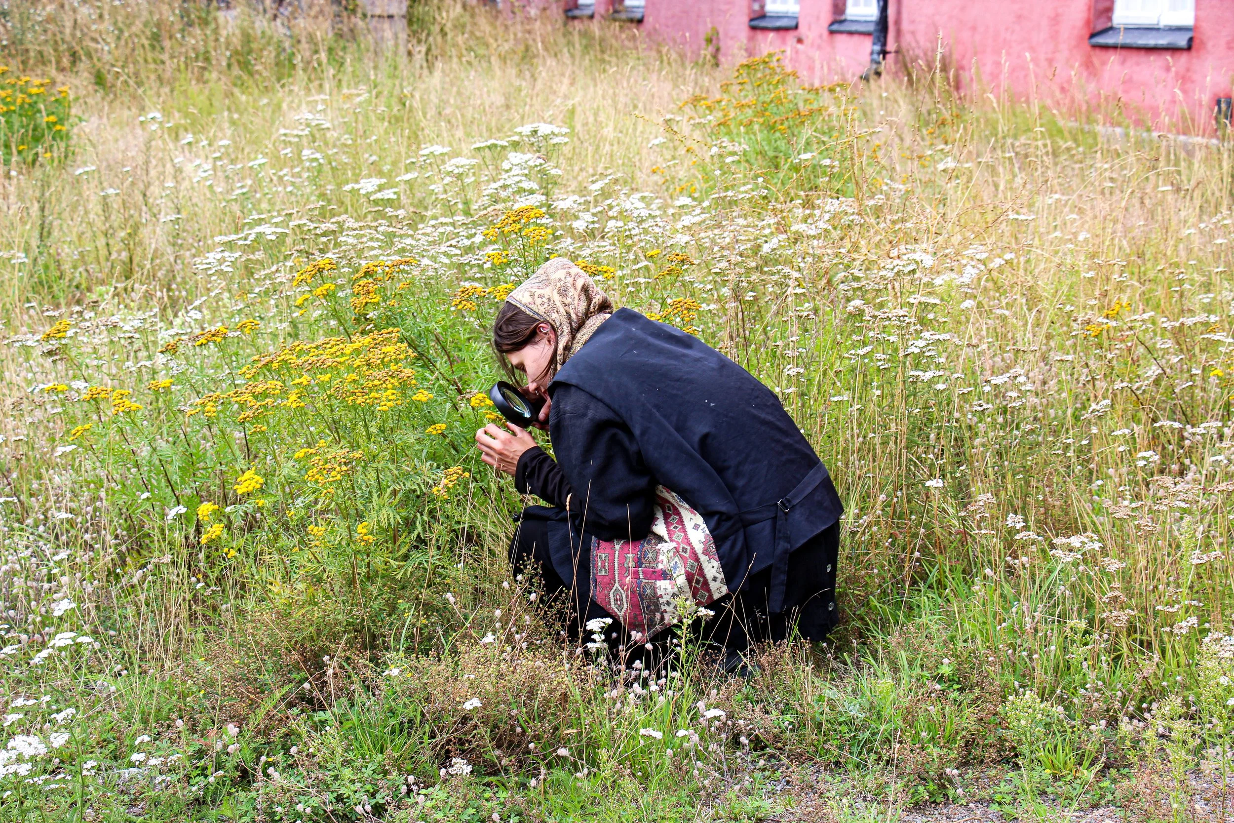 Practices for Staying with 4.04.jpg