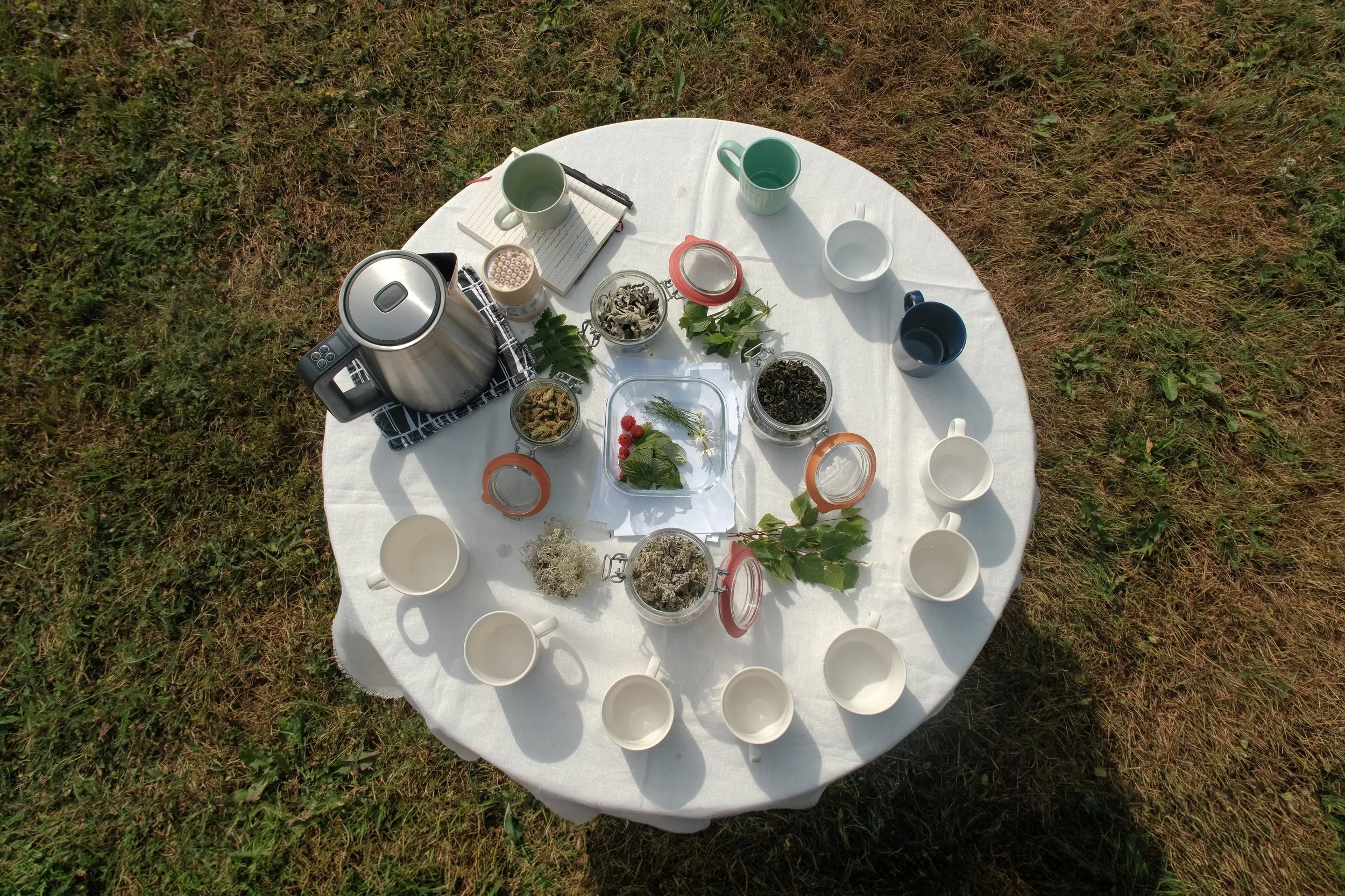 A Sip of Time-06.jpg