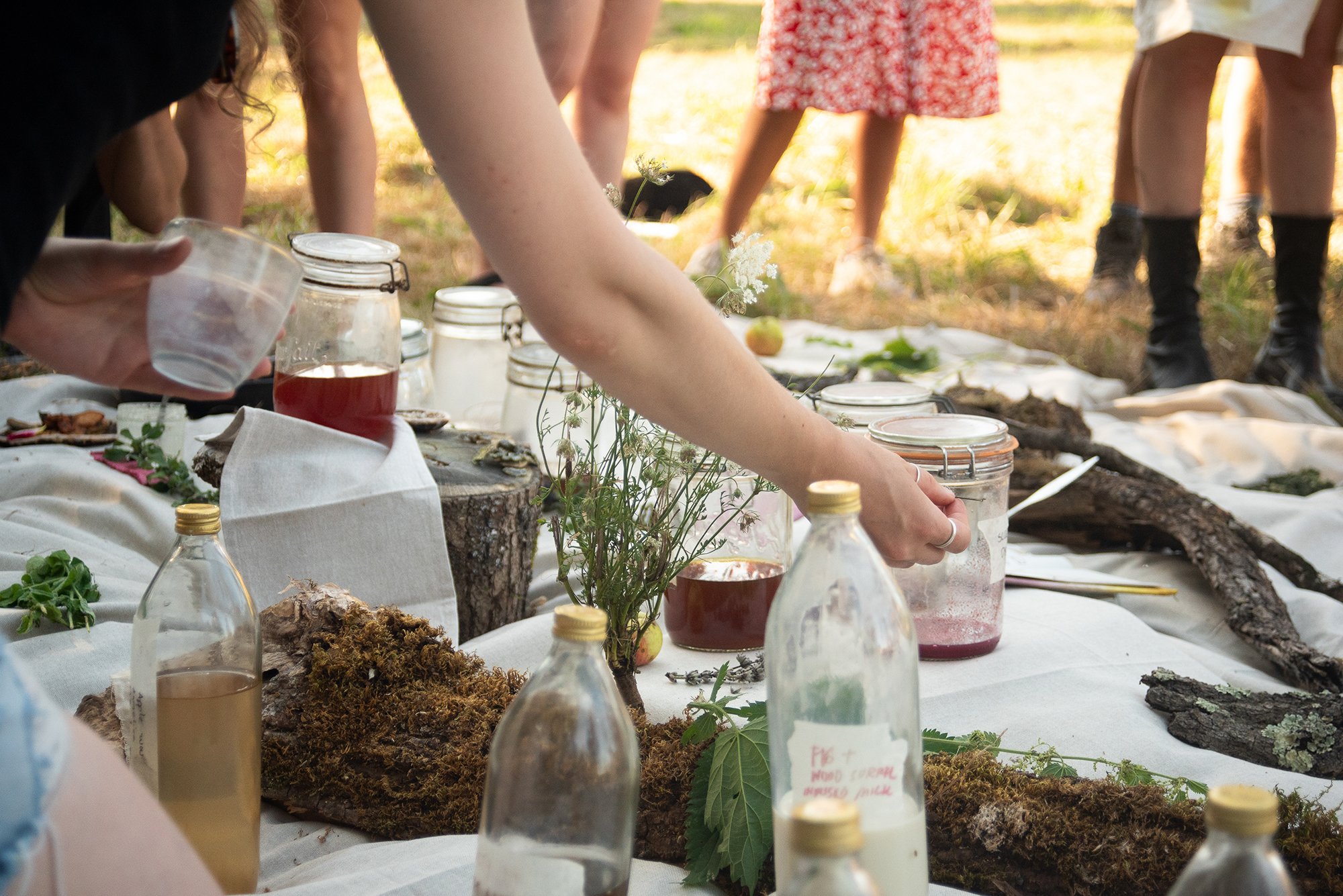 Landscape Cooking, final presentation