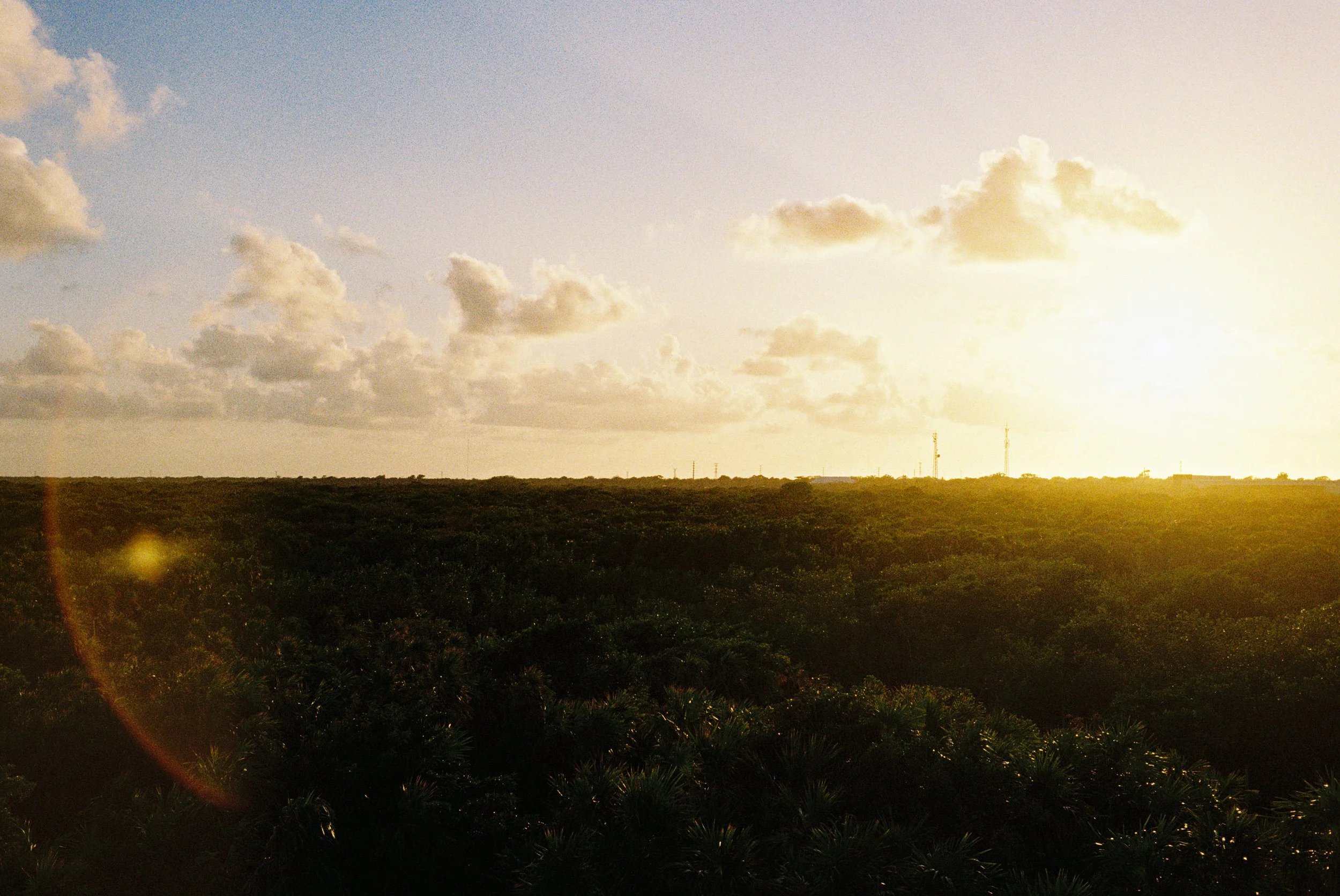 A landscape photo of a lush green forest under a partly cloudy sky during sunset, with the sun near the horizon casting a warm golden light.