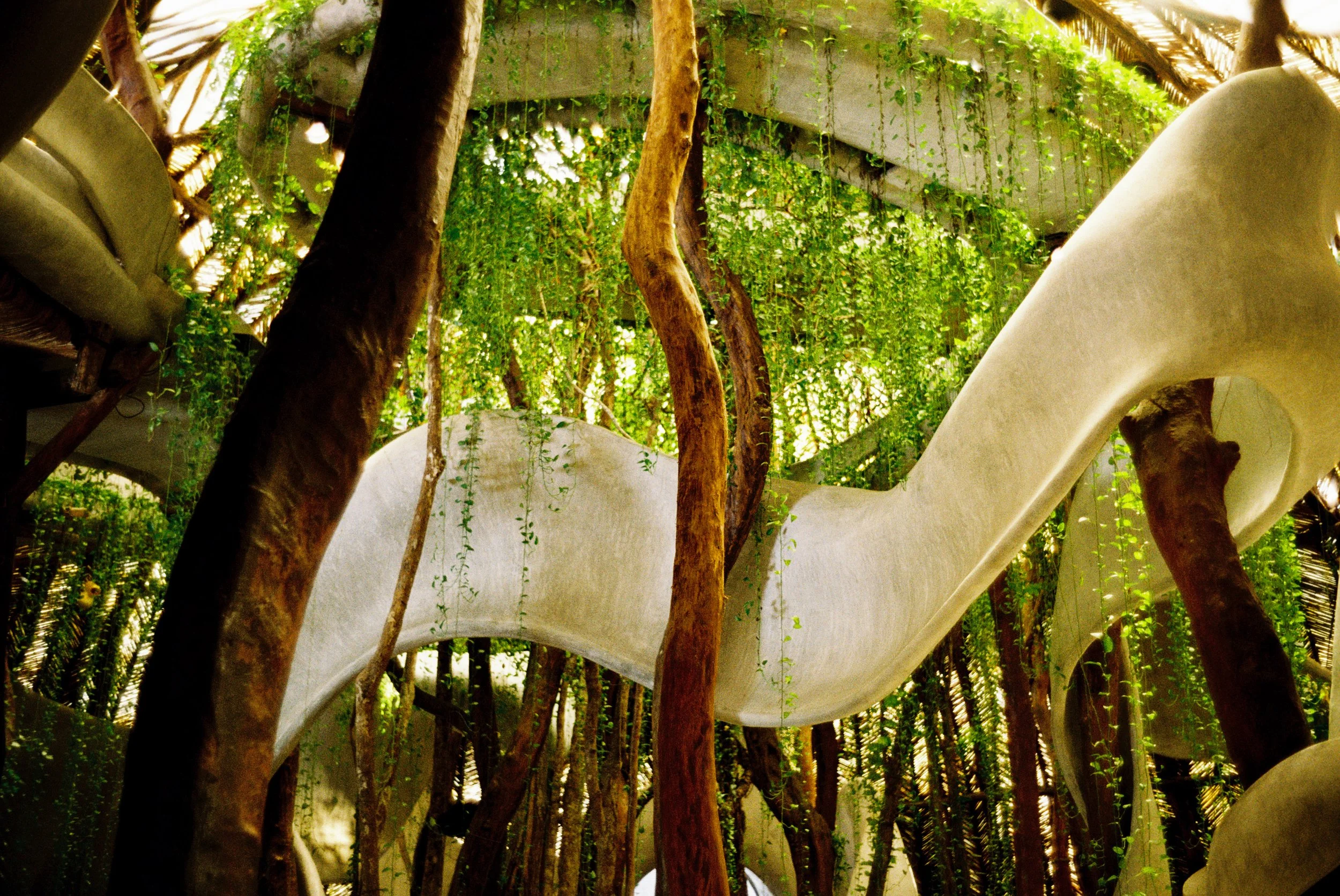 Indoor garden with tall trees, green vines hanging from the ceiling, and a curved white structure resembling a slide or architectural detail.