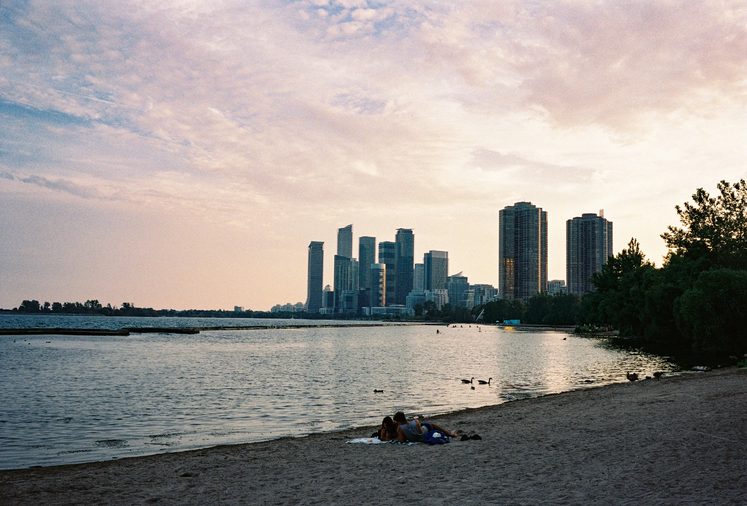 A waterfront scene at sunset with a city skyline and tall buildings in the background, two people on a blanket by the shore, ducks in the water, and trees on the right.