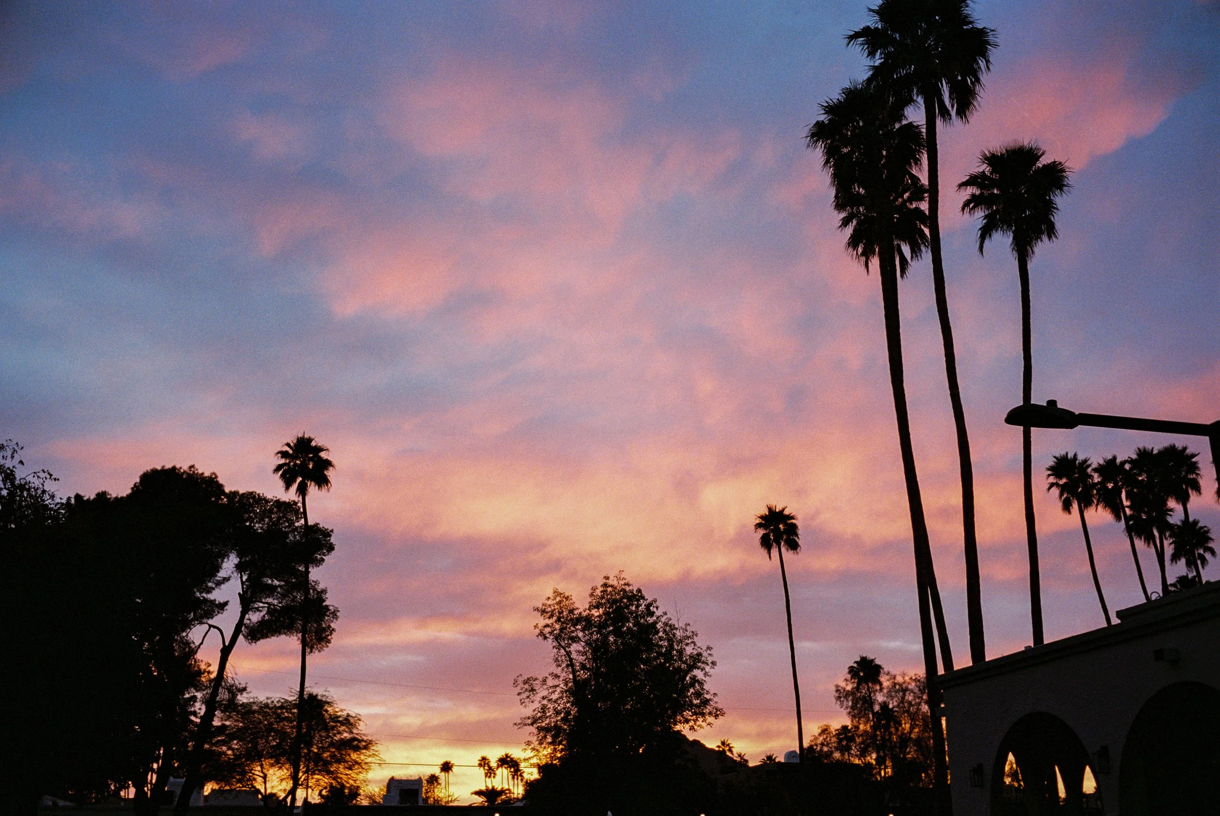Palm trees silhouetted against a colorful sunset sky with pink and purple clouds