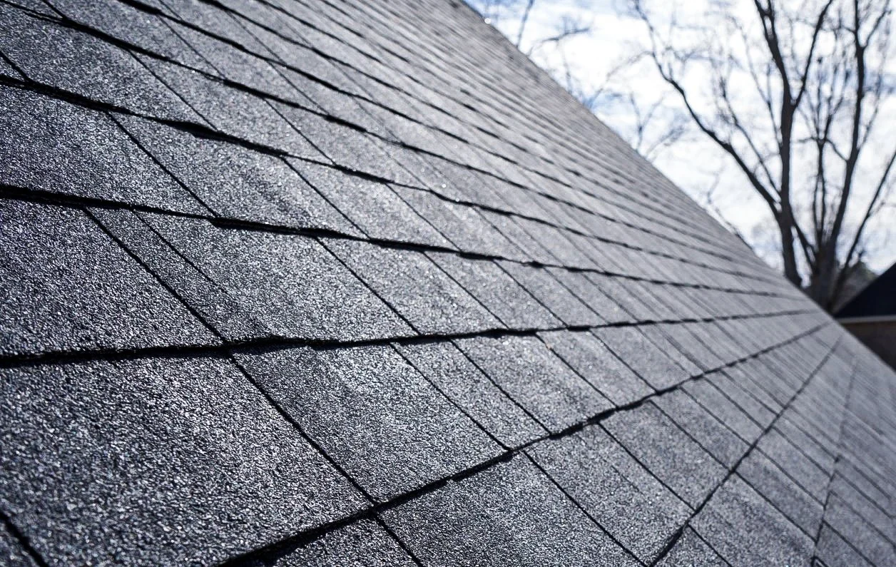 Close-up view of a sloped shingled roof with a background of leafless trees and a partly cloudy sky.