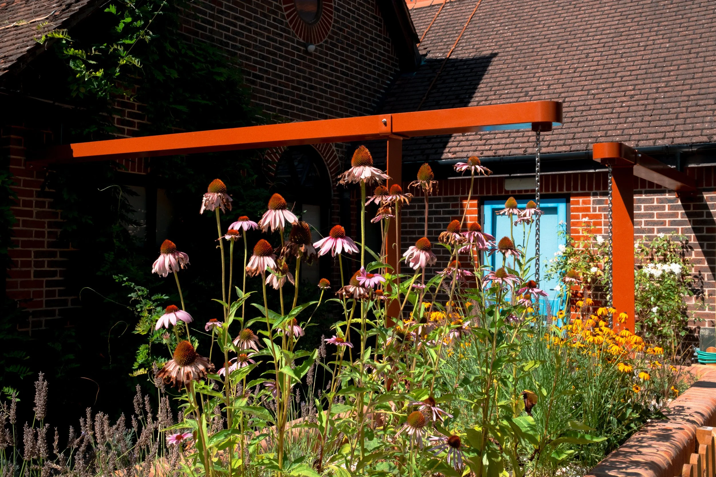 Revisiting Our SuDS Landscape at Fittleworth Village School