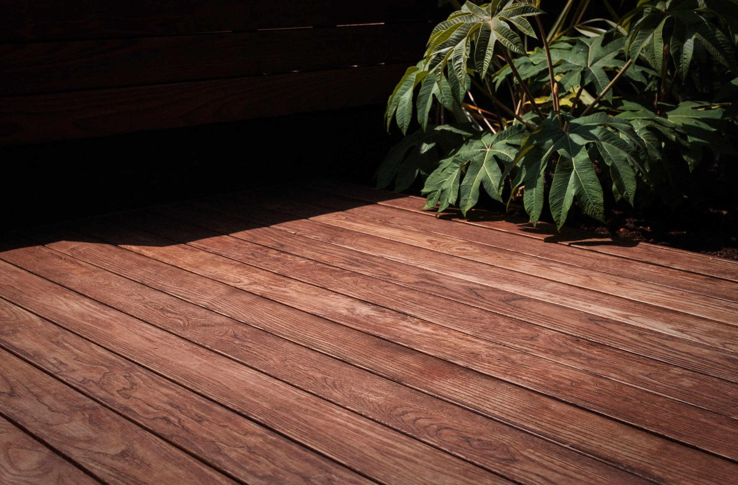 Why We Keep Coming Back to Thermo Ash