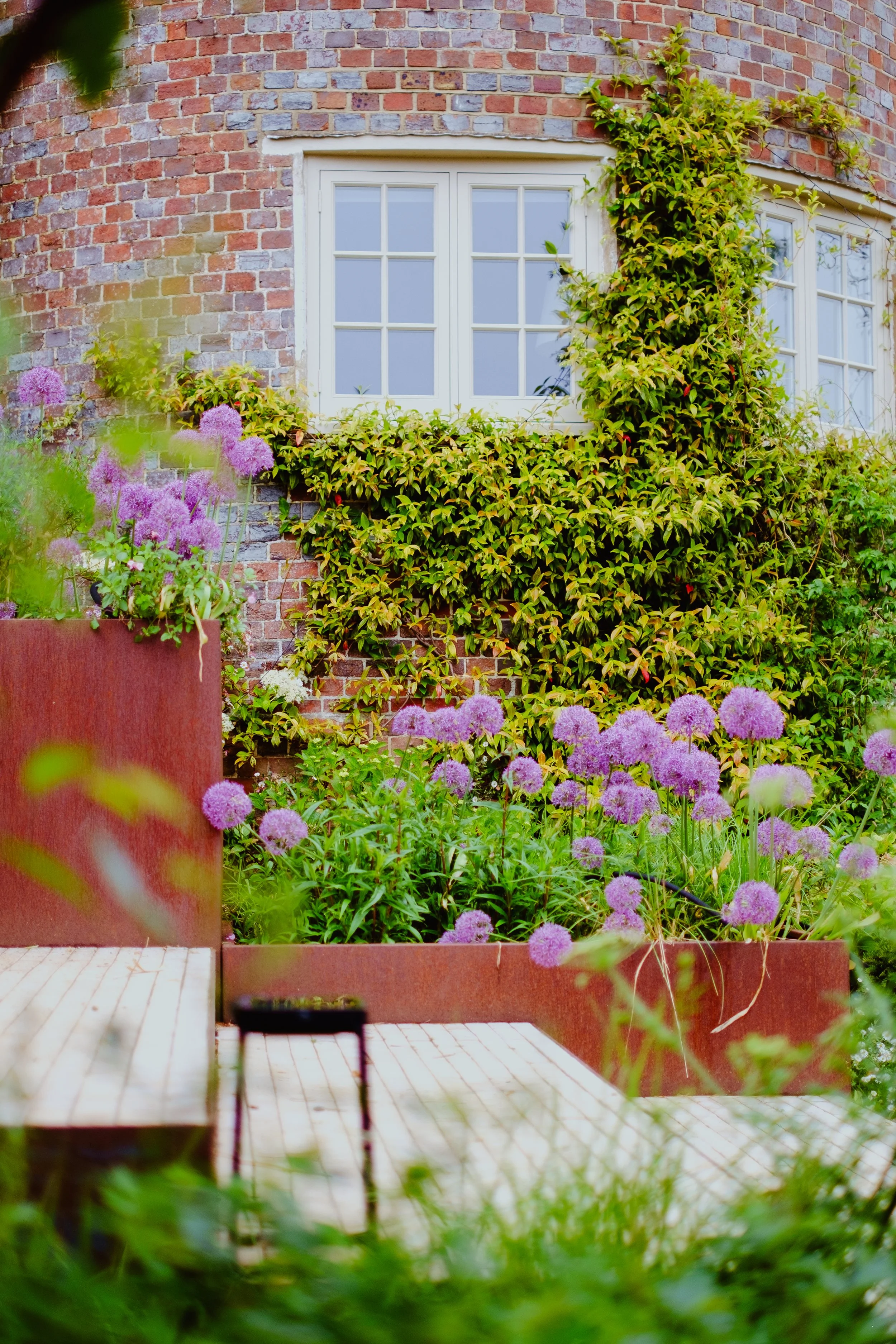 A brick house with white-framed windows partially covered by green ivy, surrounded by purple flowering plants in garden beds and a wooden table in the foreground.