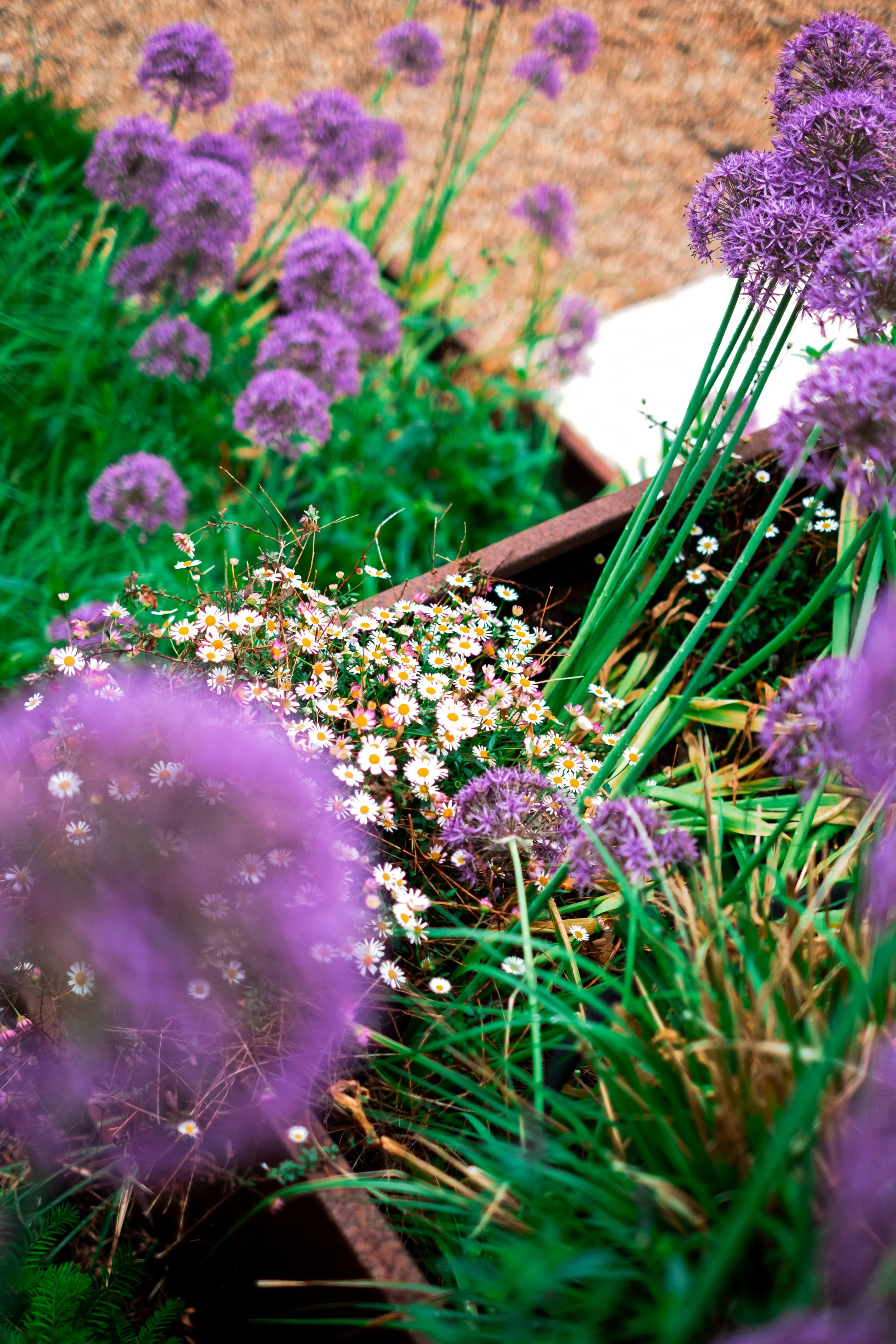 DSCF4019-Edit.jpg
