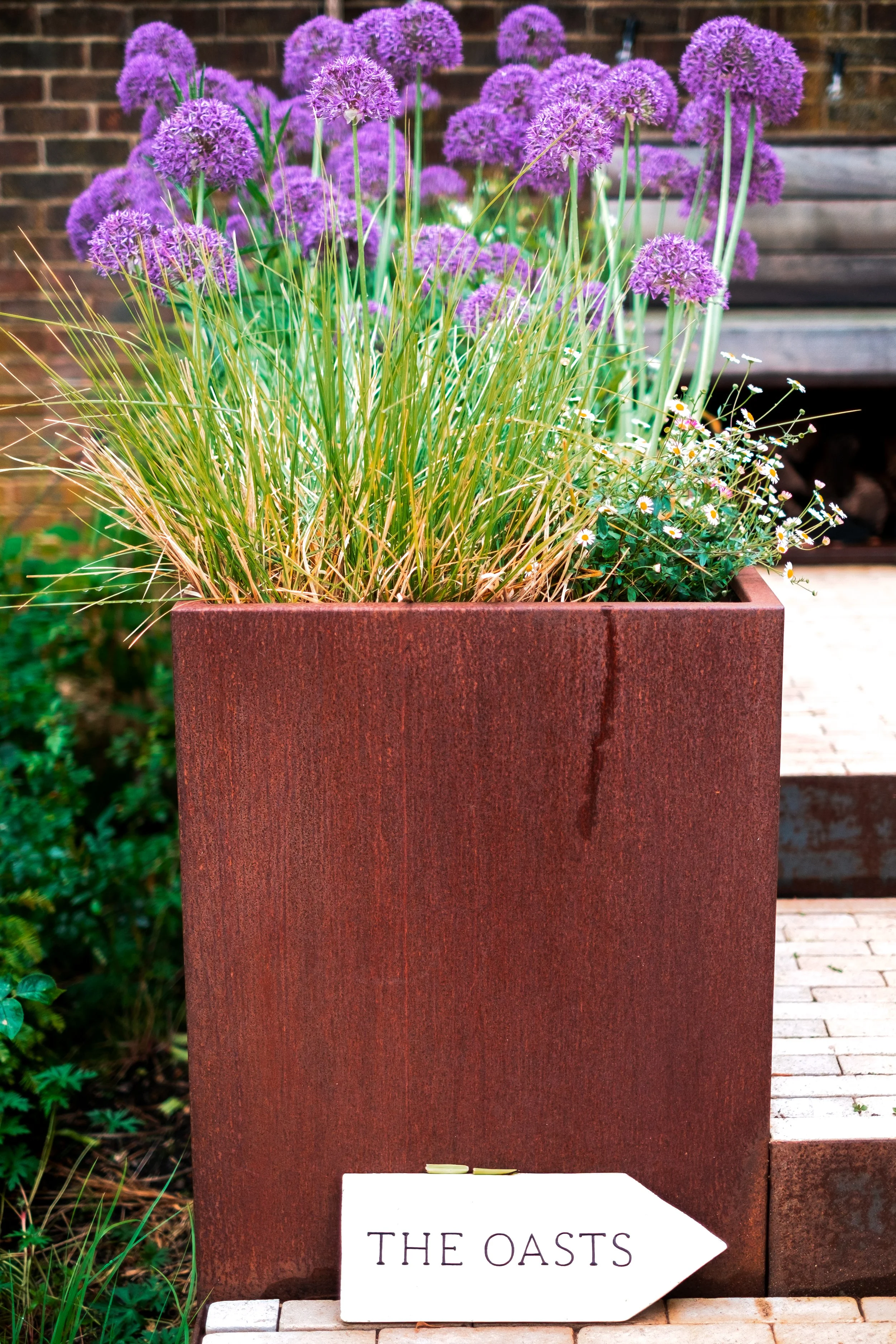 DSCF4013-Edit.jpg