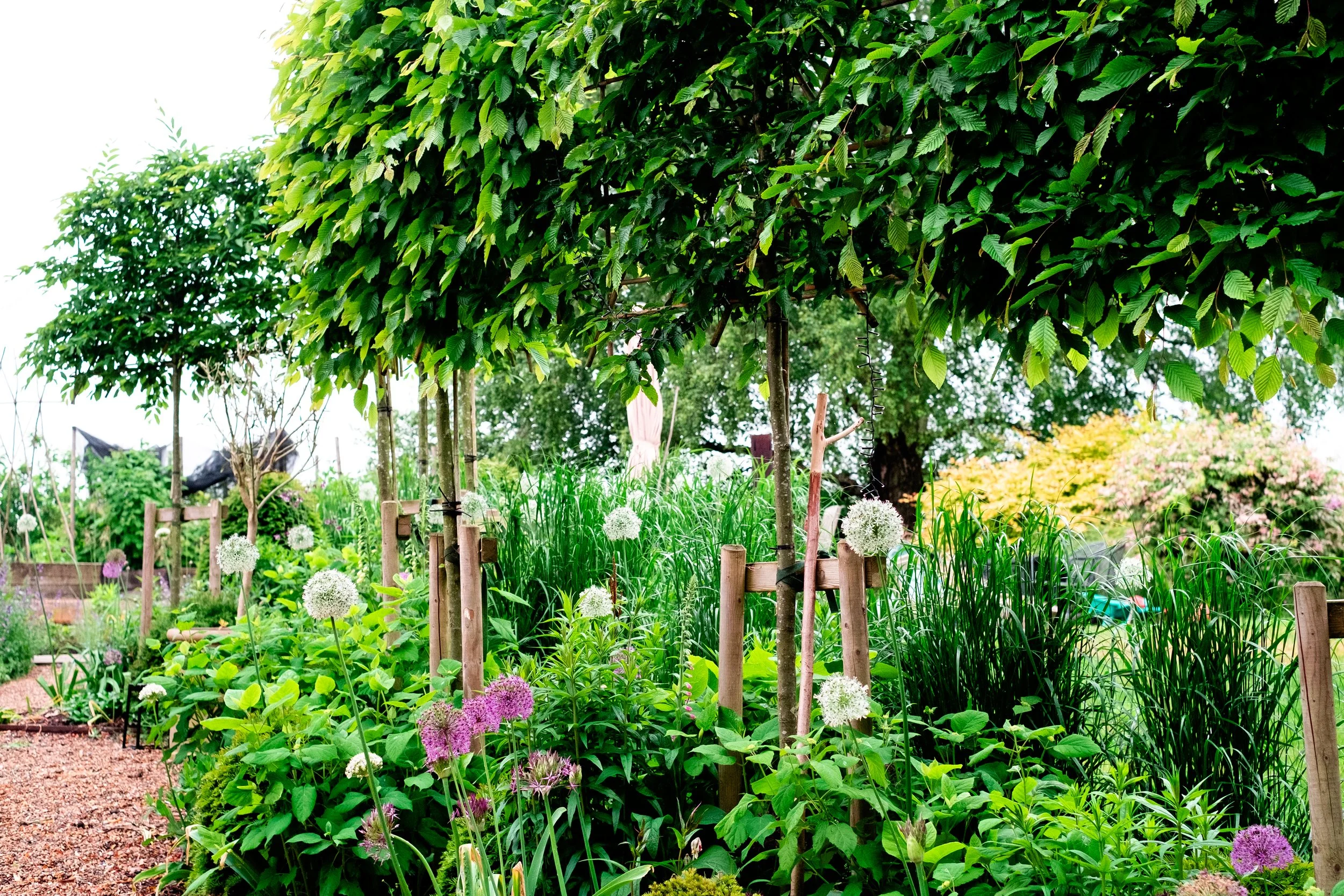 DSCF4037-Edit.jpg