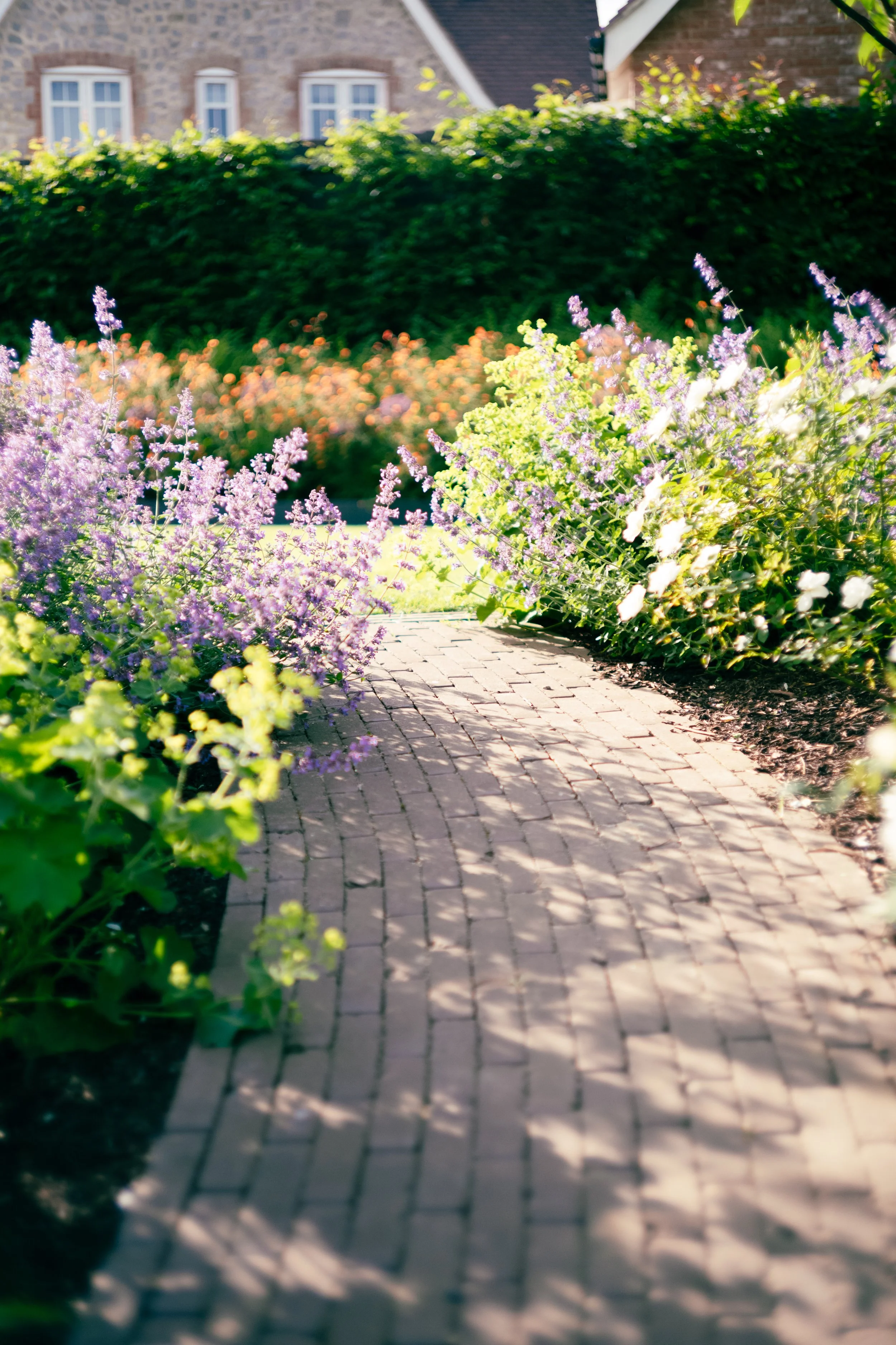A brick pathway in a garden with colorful flowers and green bushes, with a house in the background.