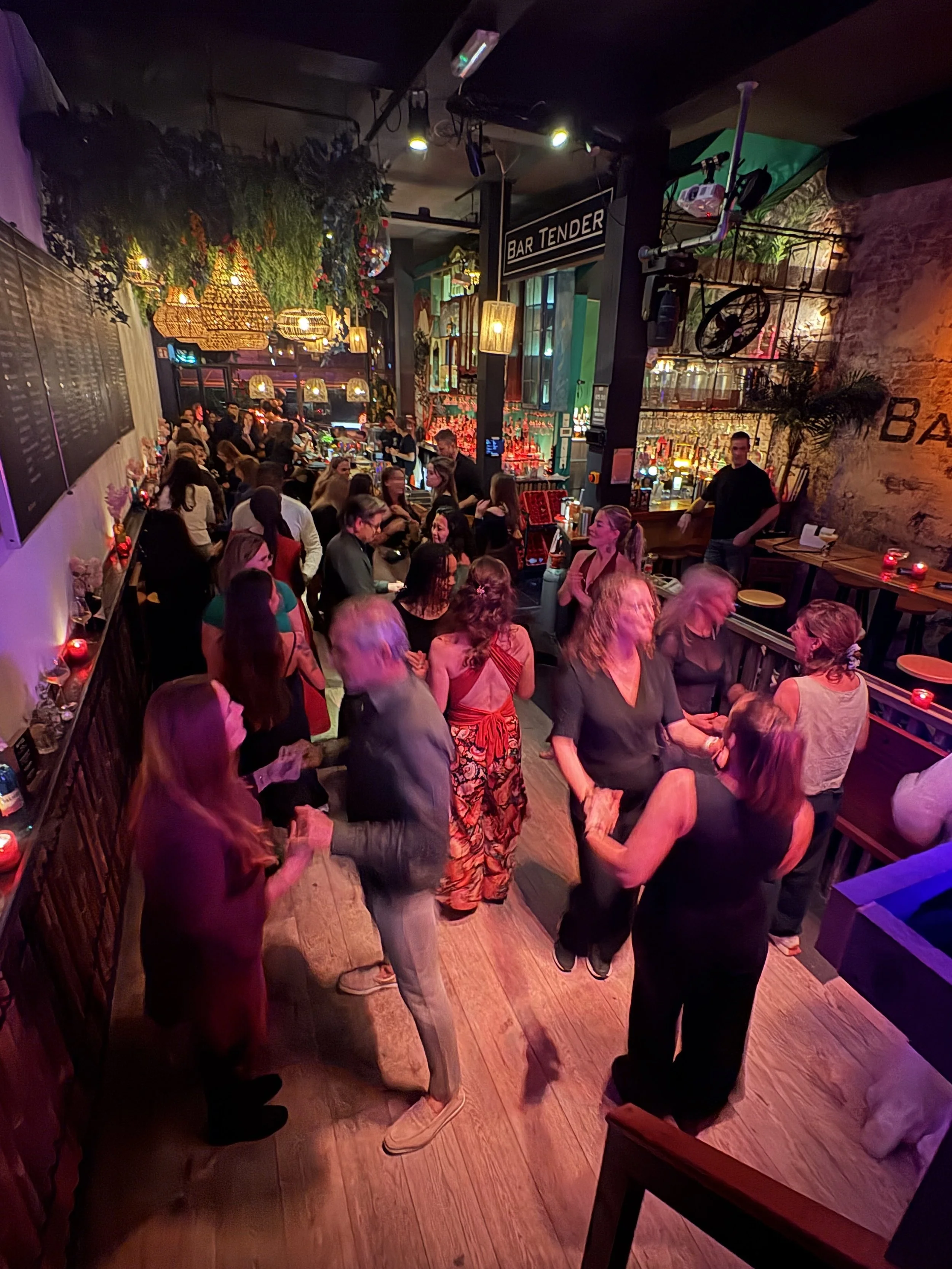 People dancing and socializing inside a lively bar with colorful lighting and decorative greenery, with a bar counter in the background.