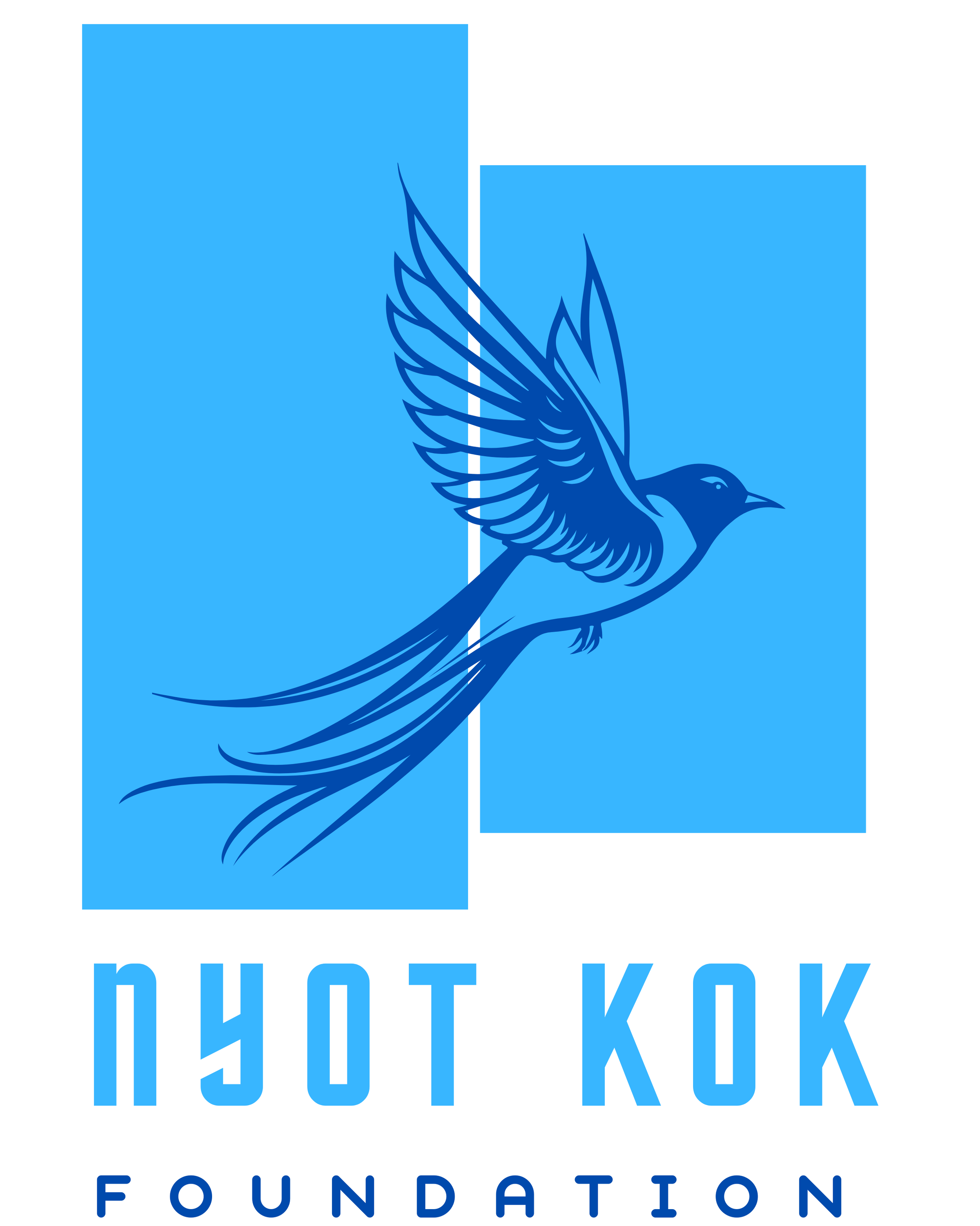 Blue logo of the Puyallup Valley Puyallup KOK Foundation featuring a stylized bird in flight with outstretched wings and a long tail, with the foundation name written below in blue capital letters.