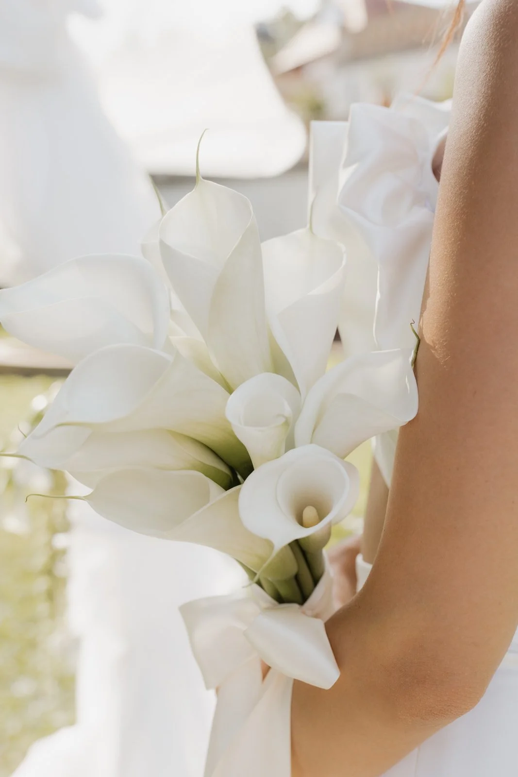 MF_ (170 von 219).jpg