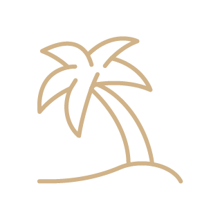 Simple line drawing of a palm tree on small island.