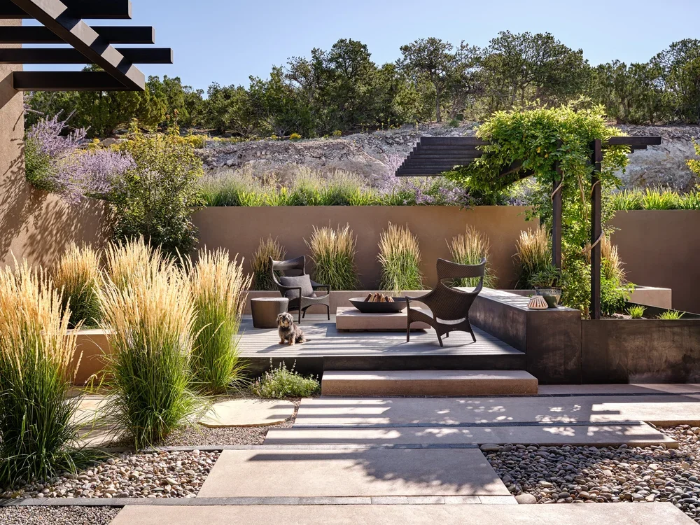Modern Desert Landscape Patio by Chandler Prewitt Design