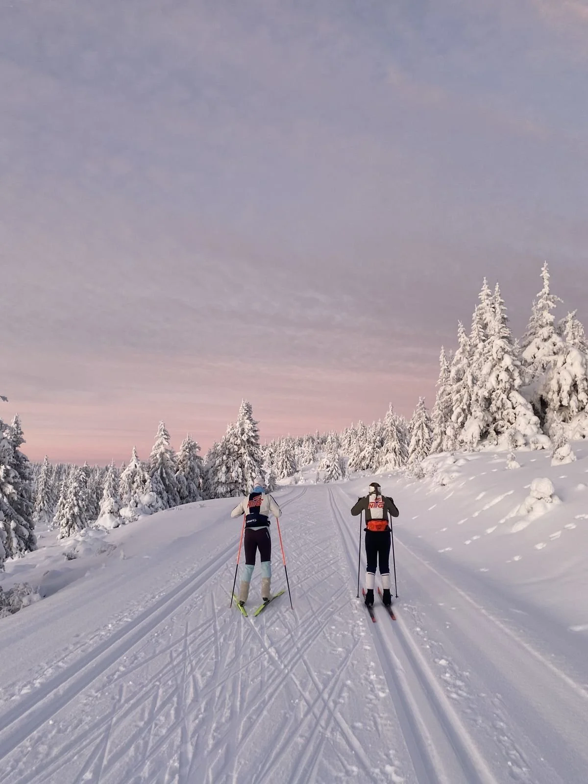 Two cross-country skiers in winter gear skiing on a snow-covered trail through a forest of snow-laden trees, under a cloudy sky.