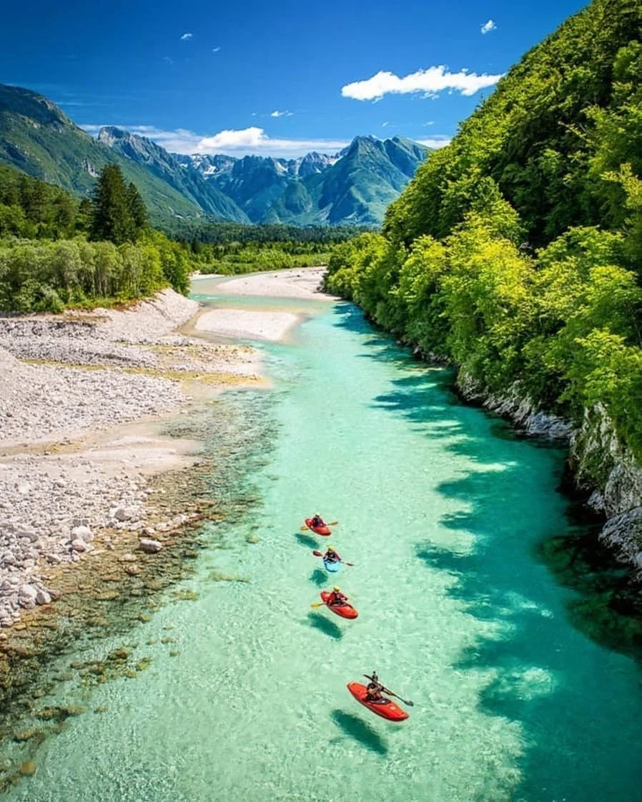 Group of people kayaking on a turquoise river surrounded by lush green forest and towering mountains under a bright blue sky.