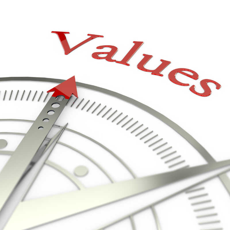 image of values compass for values of South African refugee employment service in America