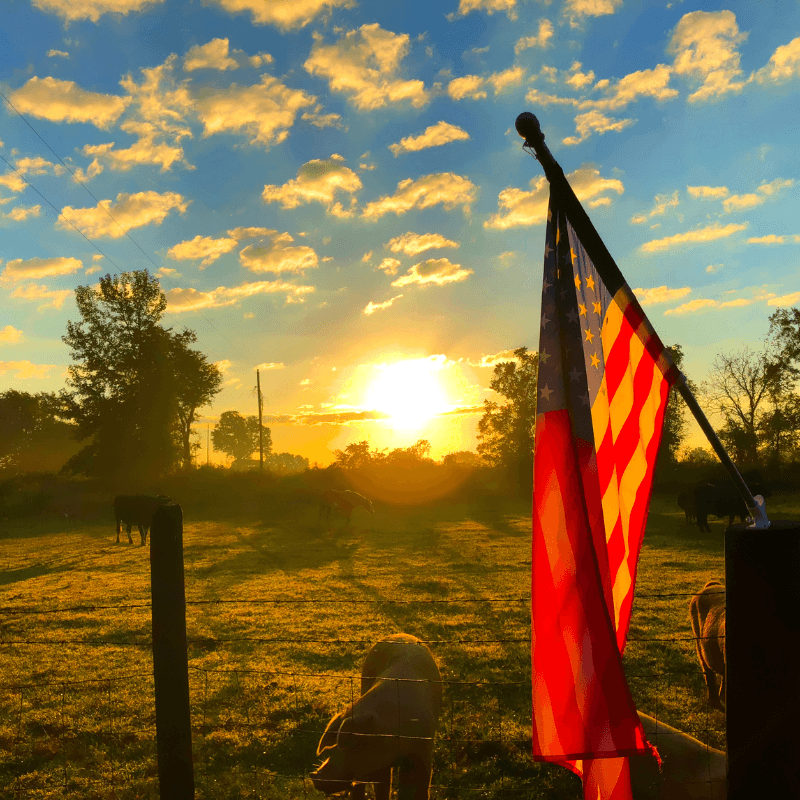 image of American flag on a farm for South Africans to become refugees in America and find jobs