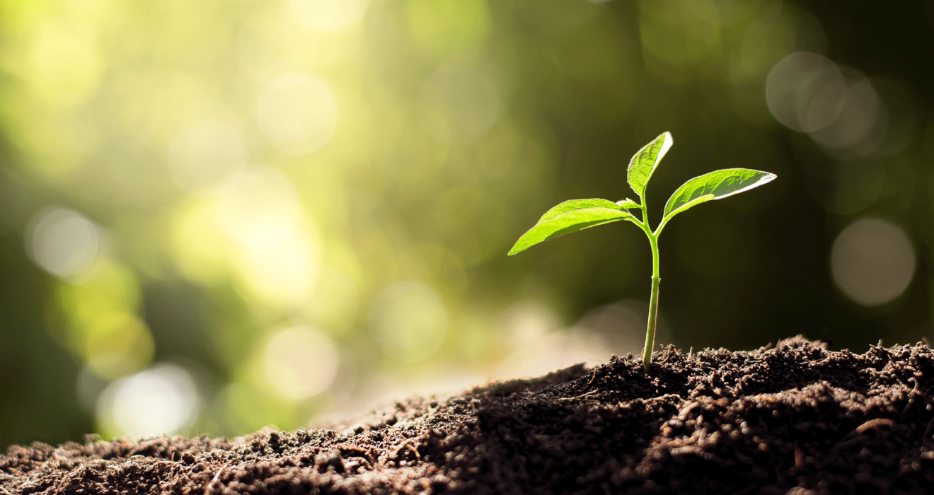 New Sustainable Initiatives