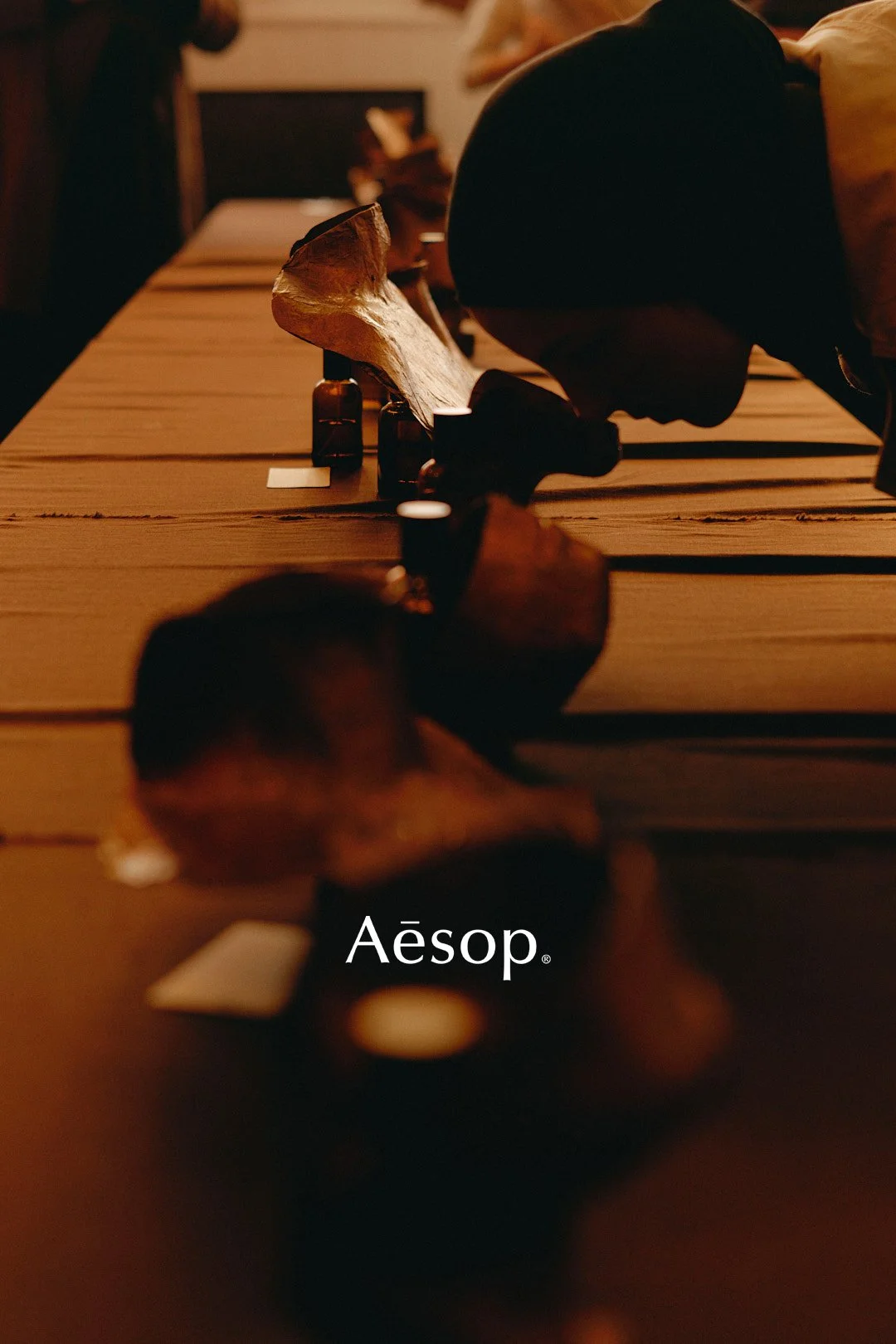 Aesop activation - 43 logo (1).jpg