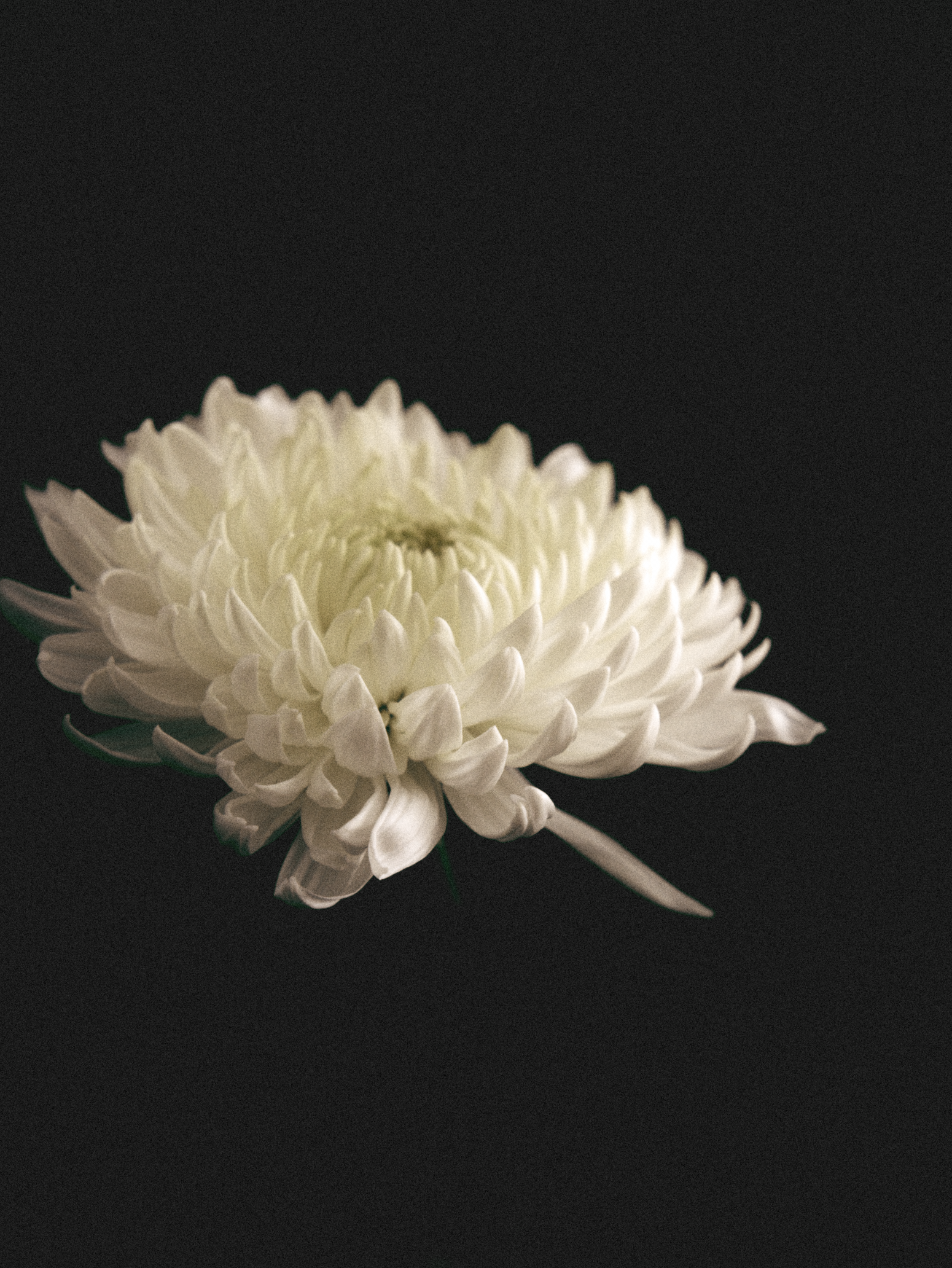 Screenshot 2026-03-11 at 19.25.27.png