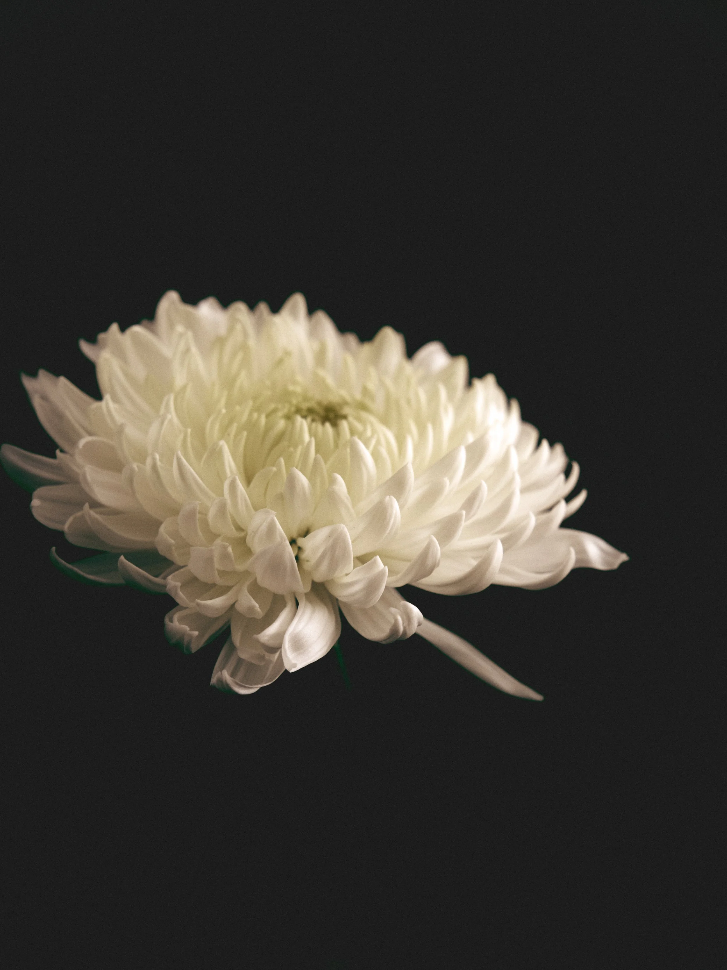 Product test16601.jpg