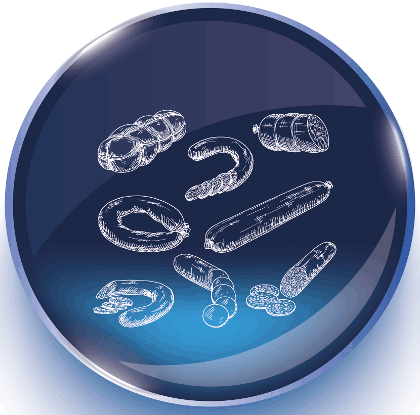 Meat Processing Equipment