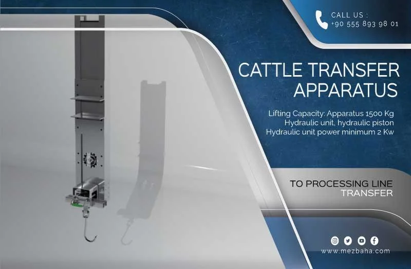 cattle-transfer-apparatus.jpg
