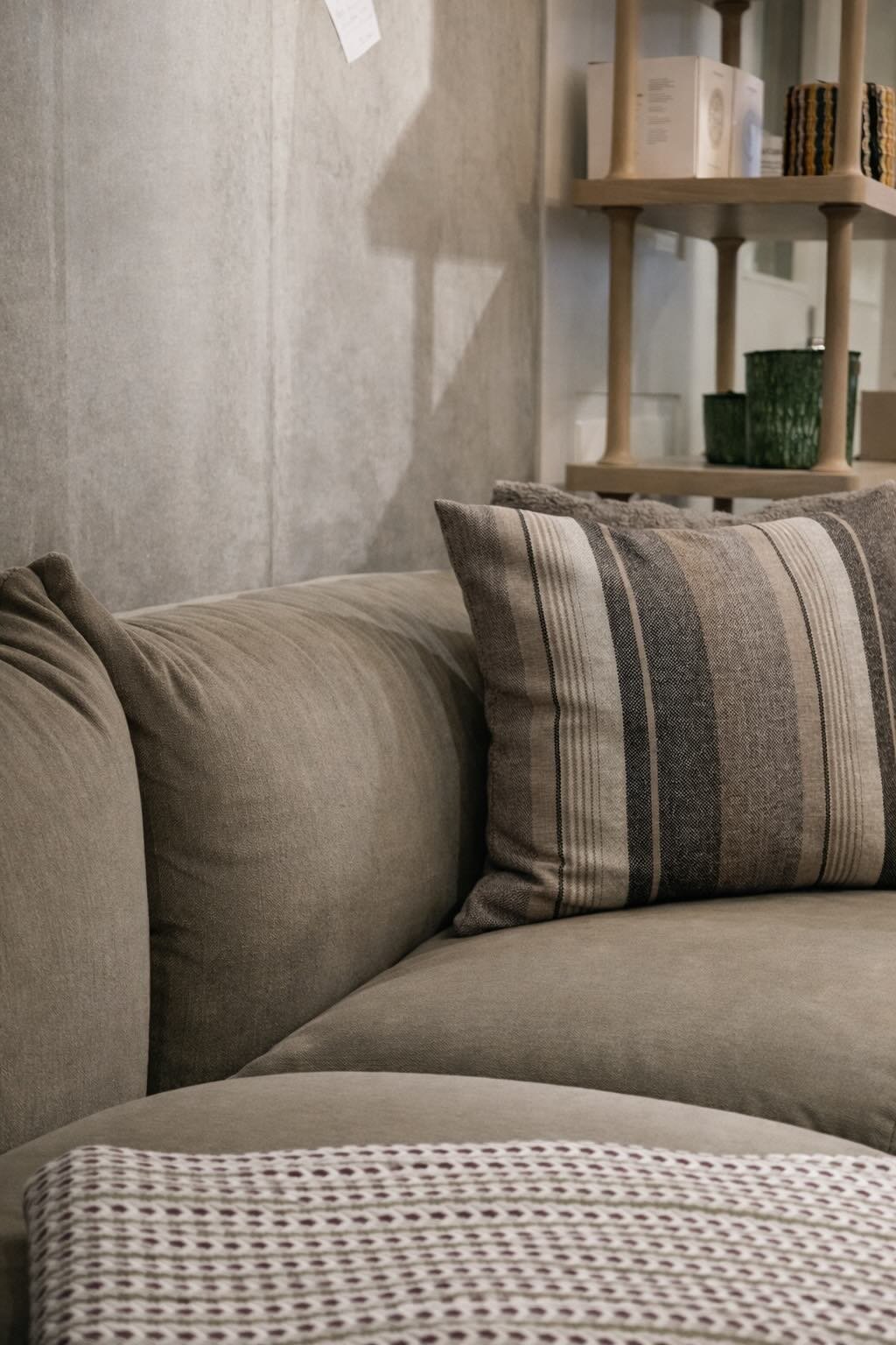 Ein Wohnzimmer mit grauem Sofa, gestreiftem Kissen, holzfarbenen Regalen im Hintergrund und mehreren grünen Pflanzen.