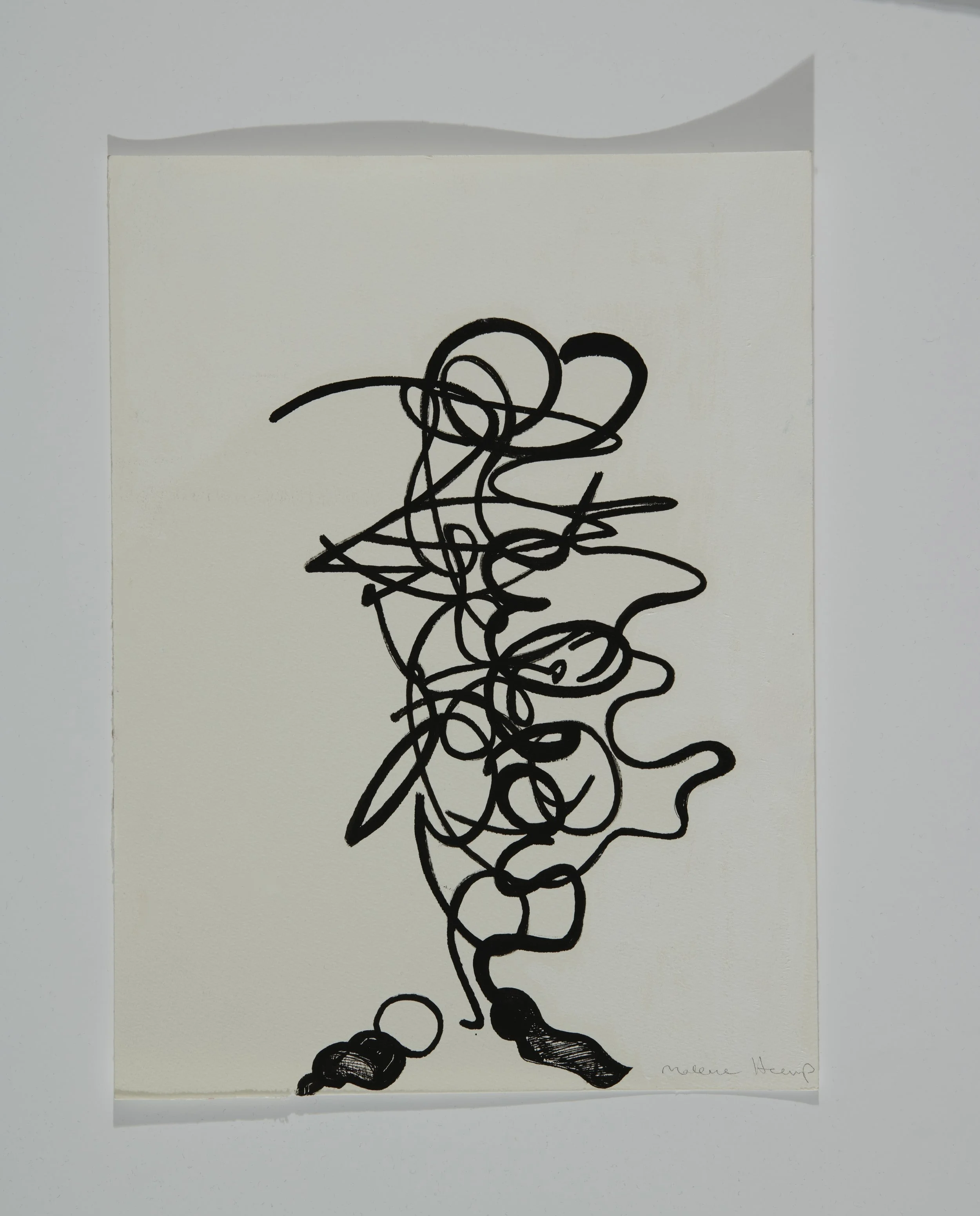Black abstract tangled line drawing on white background with signature 'Melene Heap' at bottom right.