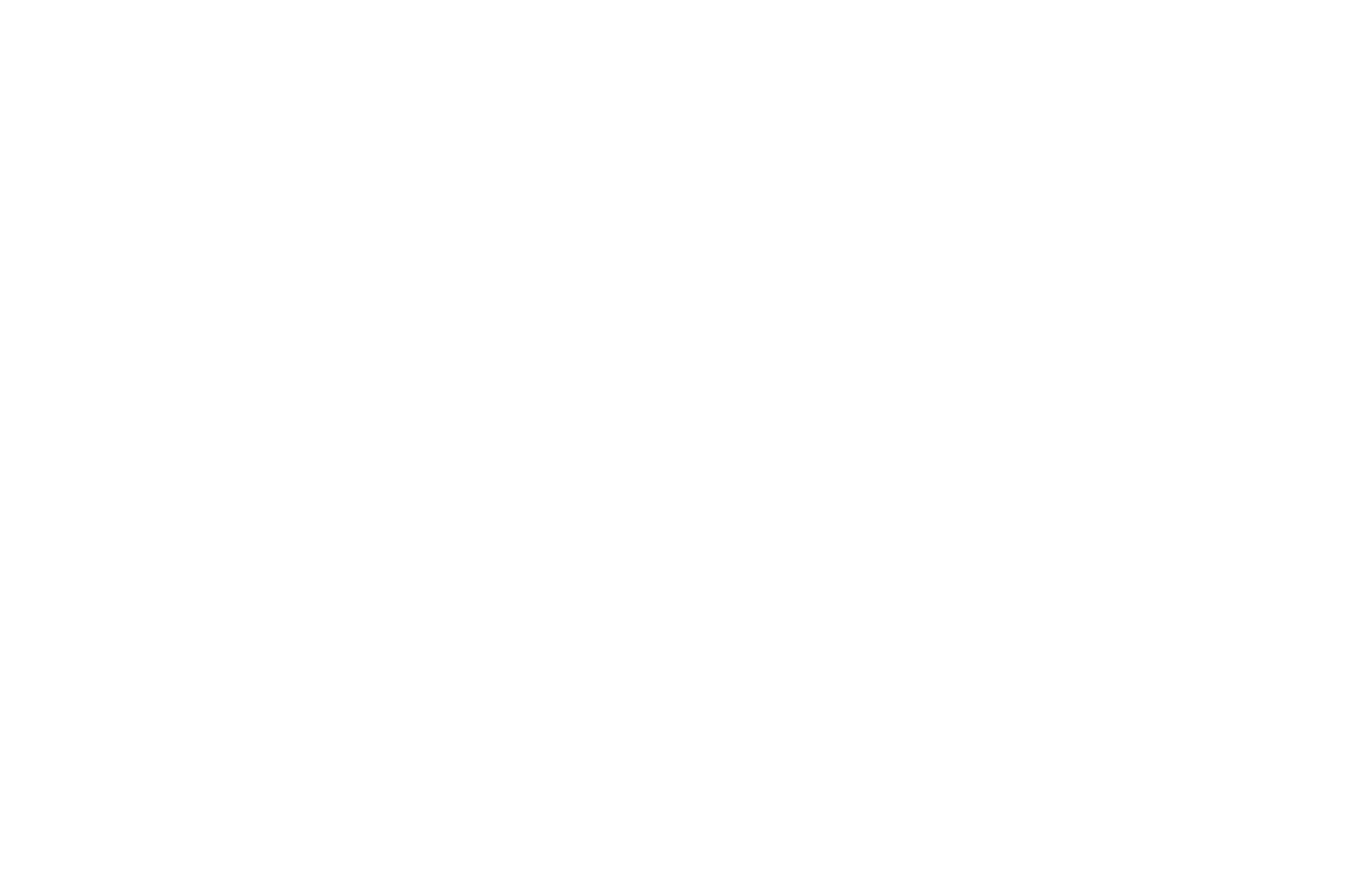 WHITEOFFICIAL SELECTION - 16th LAQUILA FILM FESTIVAL - 2025.png