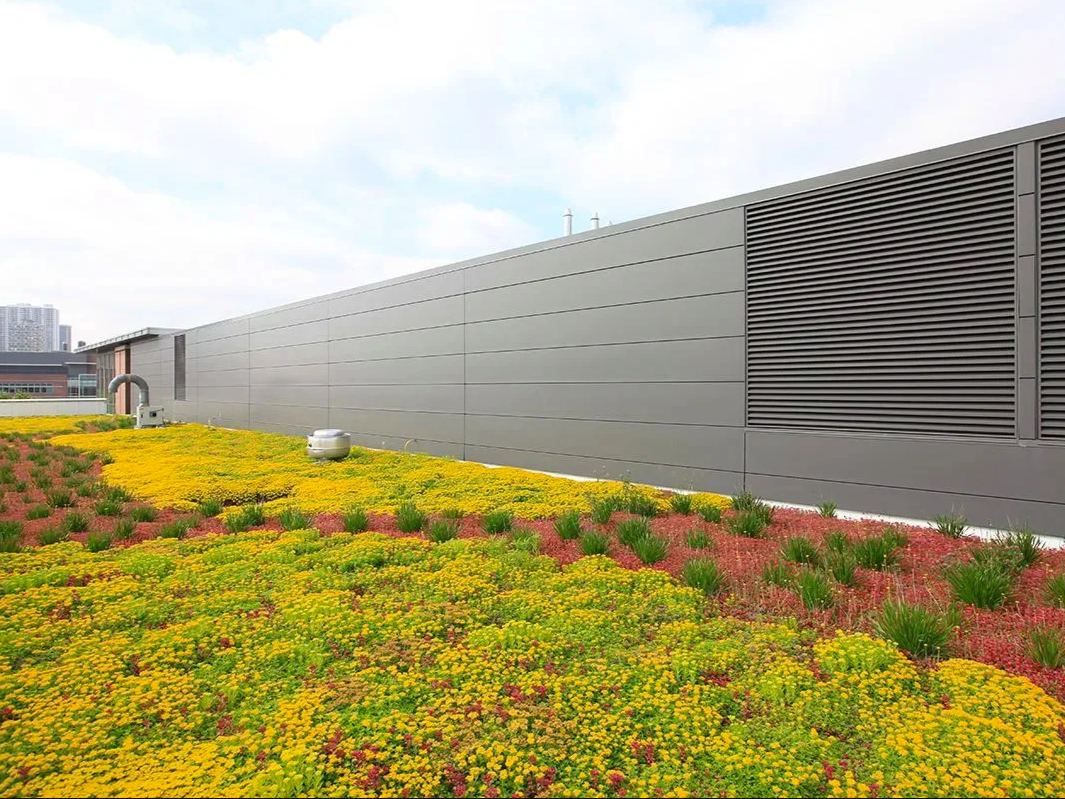 Intensive Green Roof