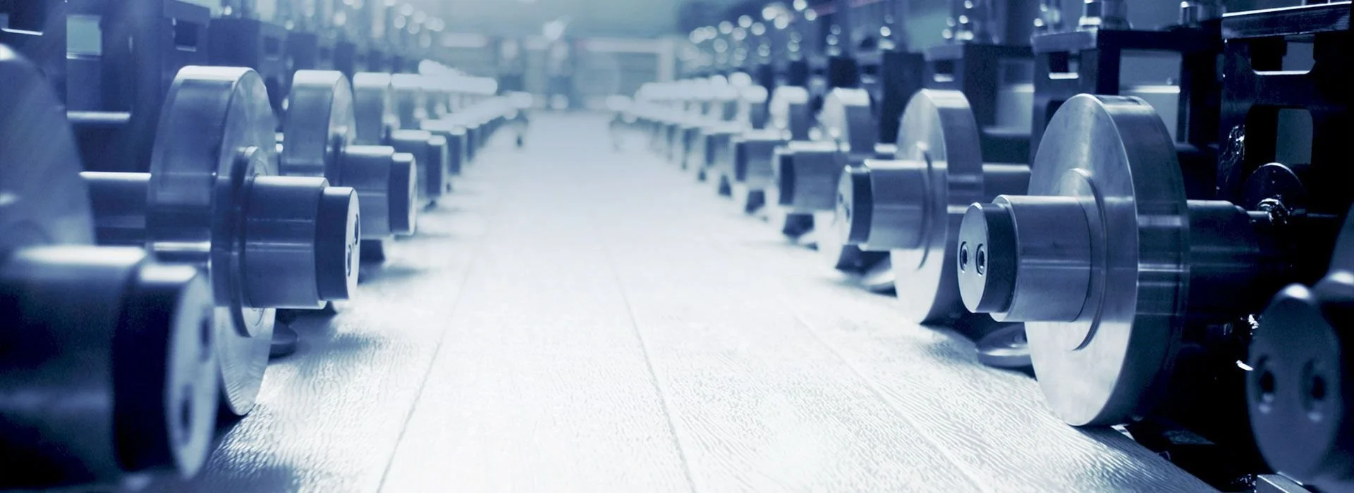 Row of dumbbells on a gym floor, viewed from the side.