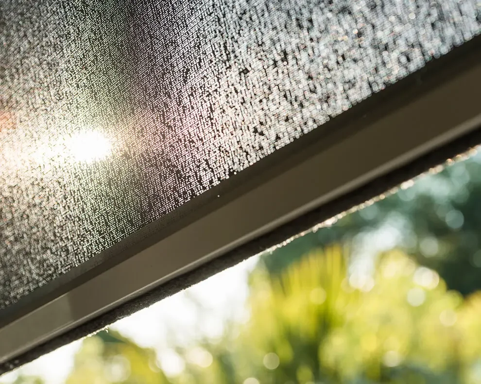Close-up of a window screen with sunlight shining through, and blurred outdoor greenery in the background.