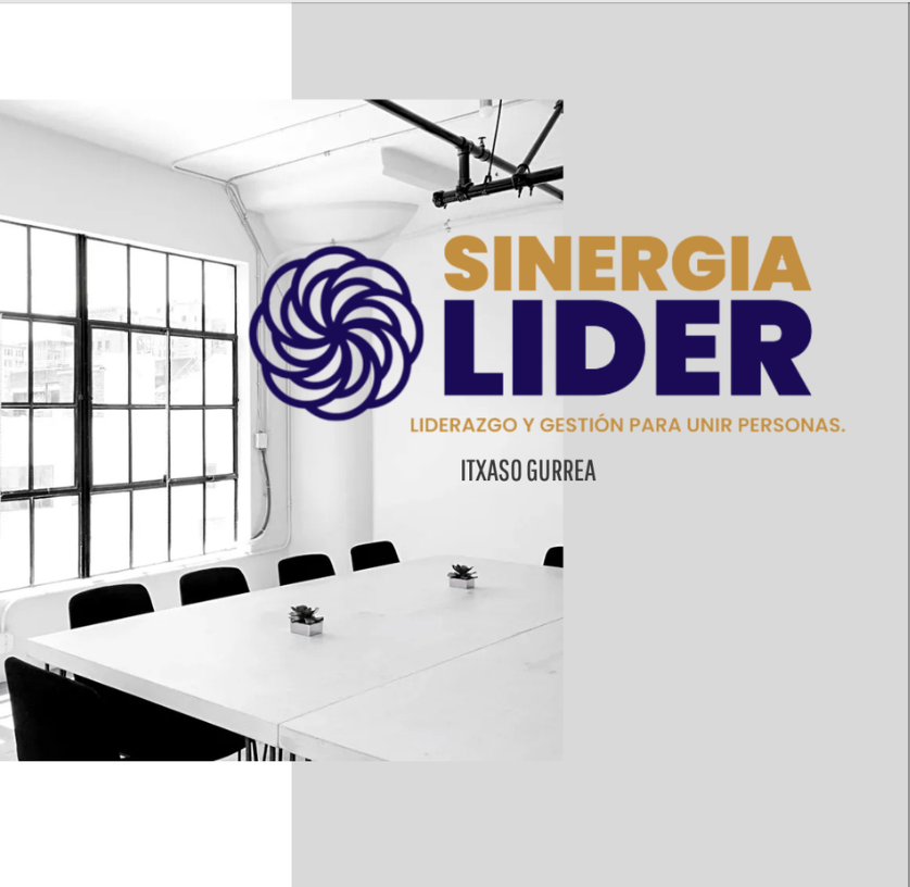SINERGÍA LÍDER: liderazgo y gestión para unir personas.