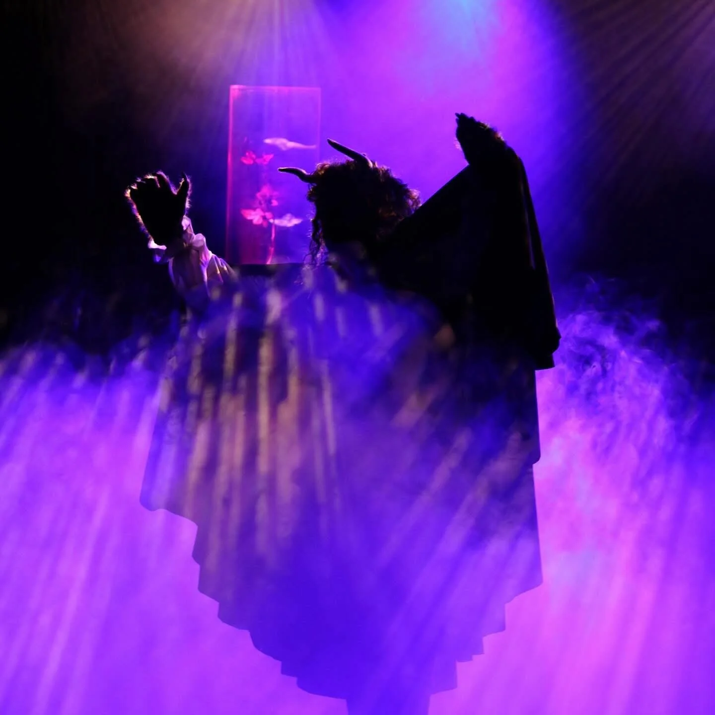 Beauty and the Beast - The Musical