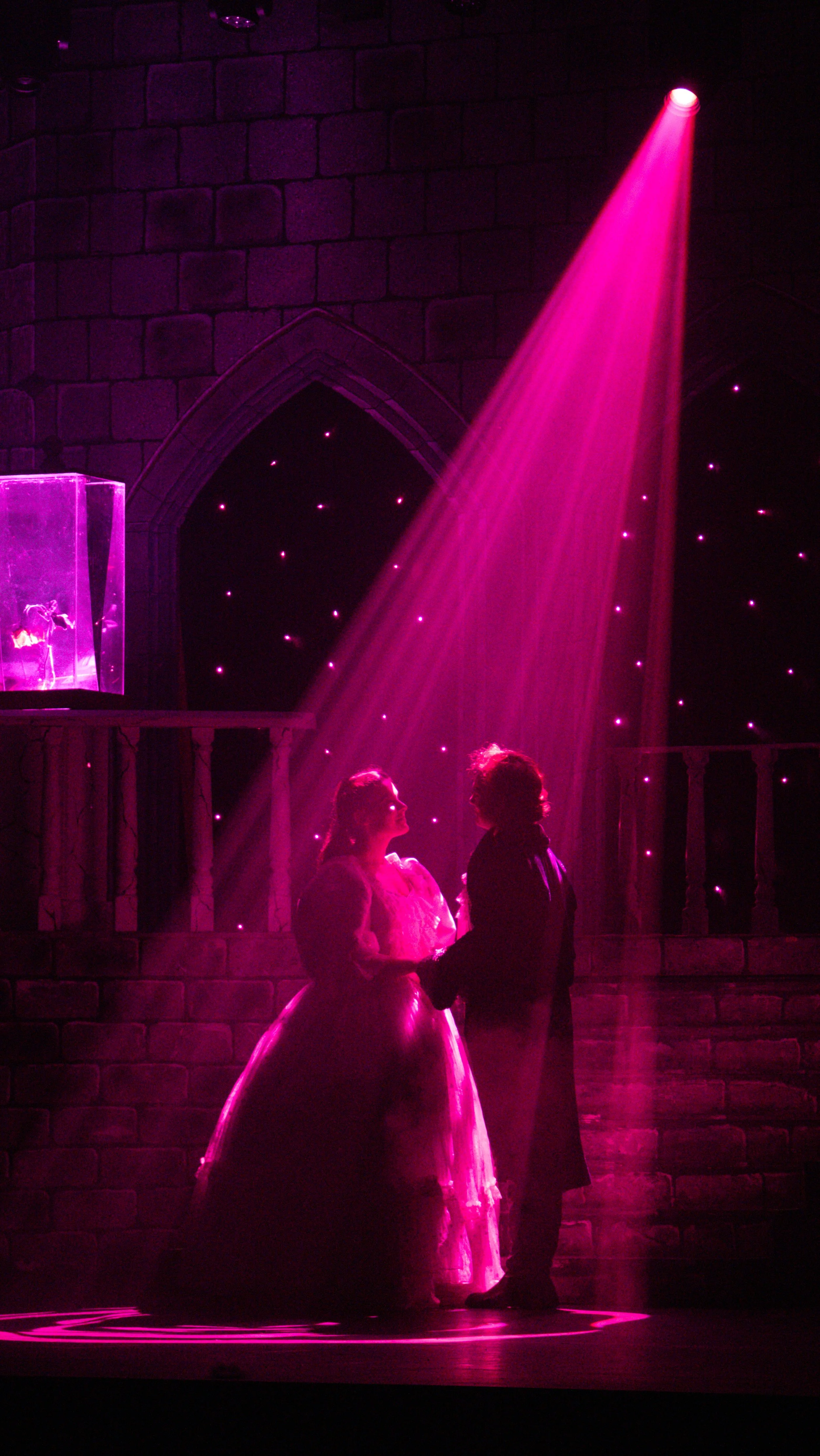 Beauty and the Beast - The Musical