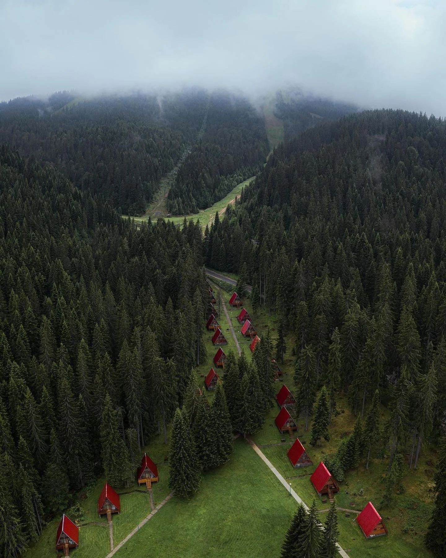 Vue aérienne d'une forêt en bulgarie de conifères avec un sentier menant à plusieurs petites cabanes en bois avec toits rouges, entourées d'arbres, sous un ciel nuageux.