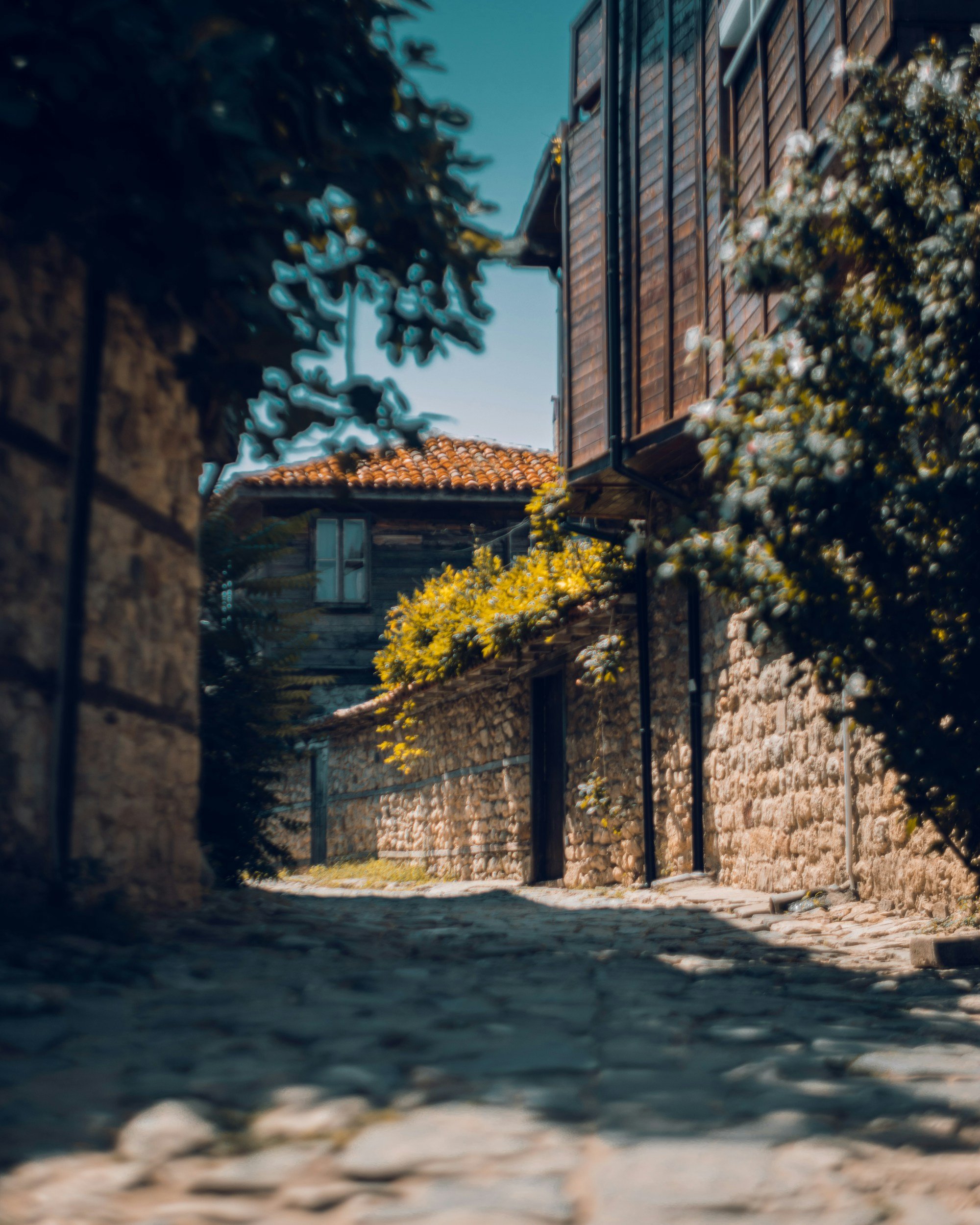 Une ruelle pavée bordée de murs en pierre et de maisons en bois en Bulgarie, avec des fleurs et des arbres en fleurs, sous un ciel bleu.