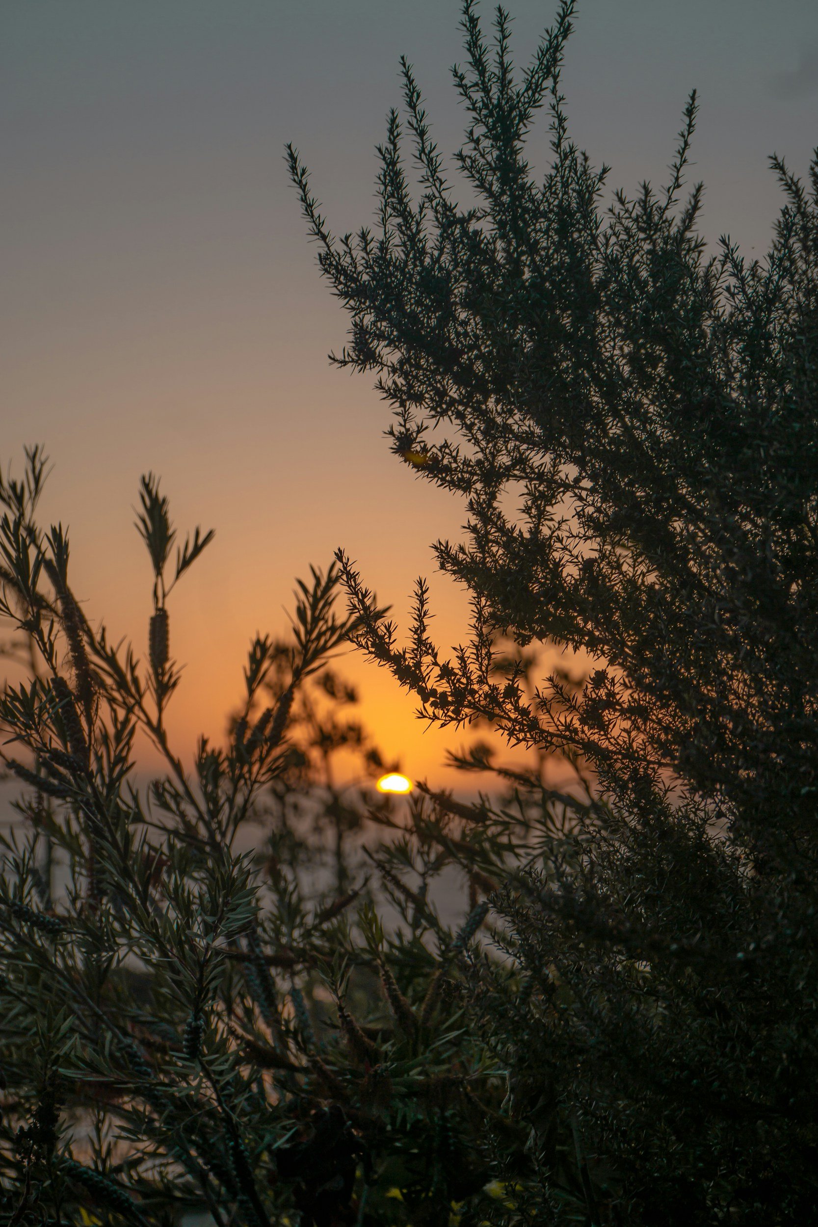 Voyager lentement : mythe ou vraie solution quand on est fatigué