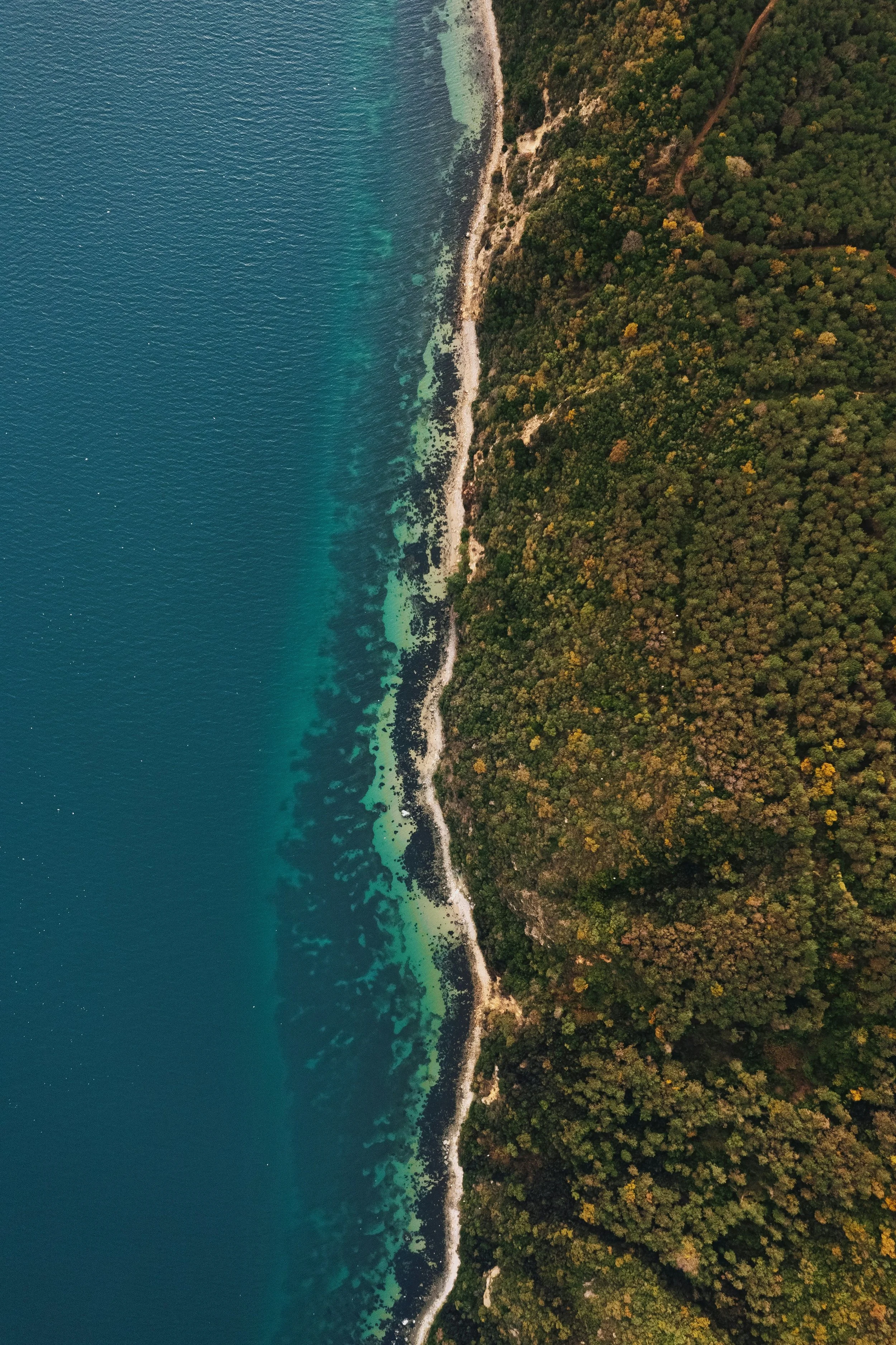 Une vue aérienne en Bulgarie d'une côte bordée d'une forêt dense, avec la mer d'un bleu profond à gauche et la forêt de l'autre côté.