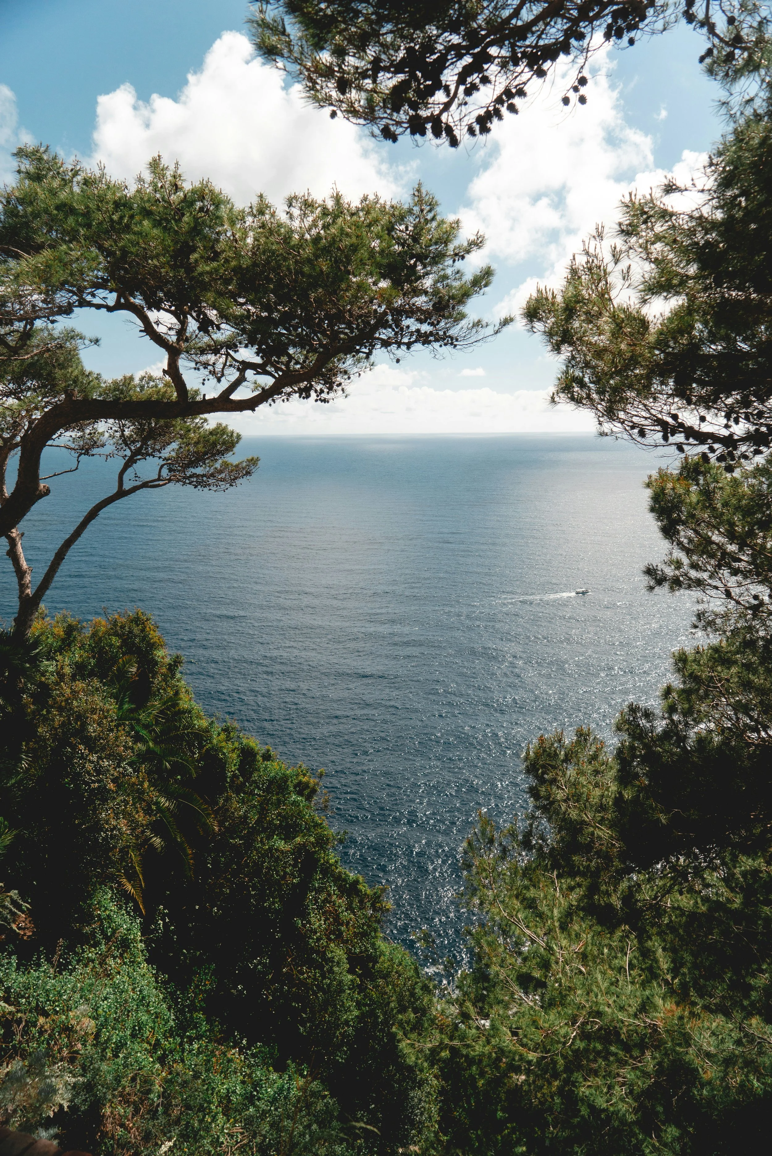 Vue d'un mer en Bulgarie vue à travers des arbres verts et feuillus avec un ciel bleu et nuages blancs.