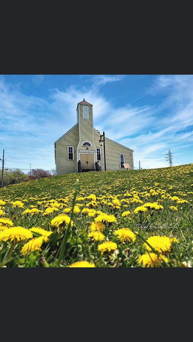 A church with a high steeple on a grassy hill covered in yellow dandelions, under a blue sky with some clouds.