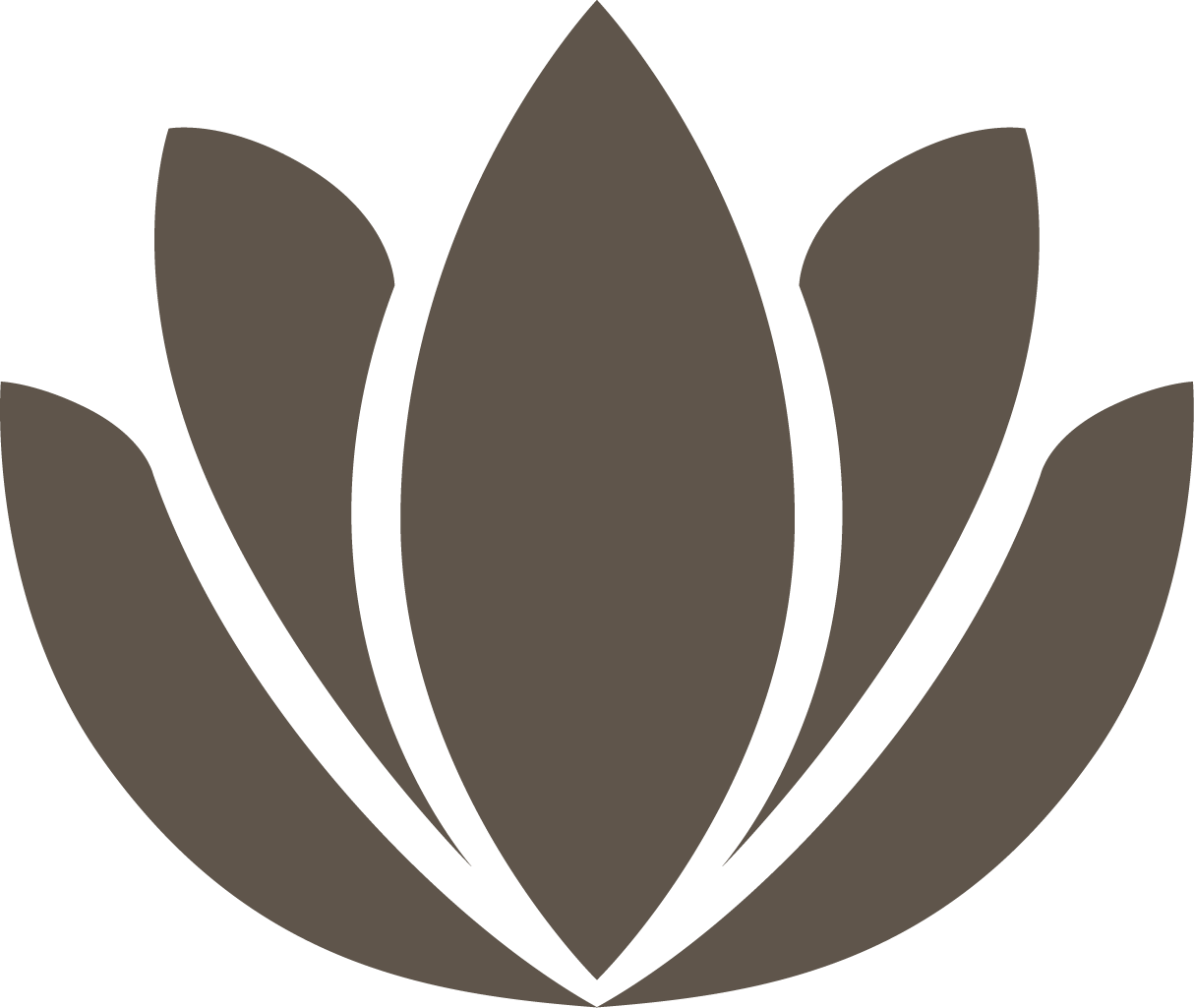 Schwarz-braune stilisierte Blüte mit fünf großen Blättern.