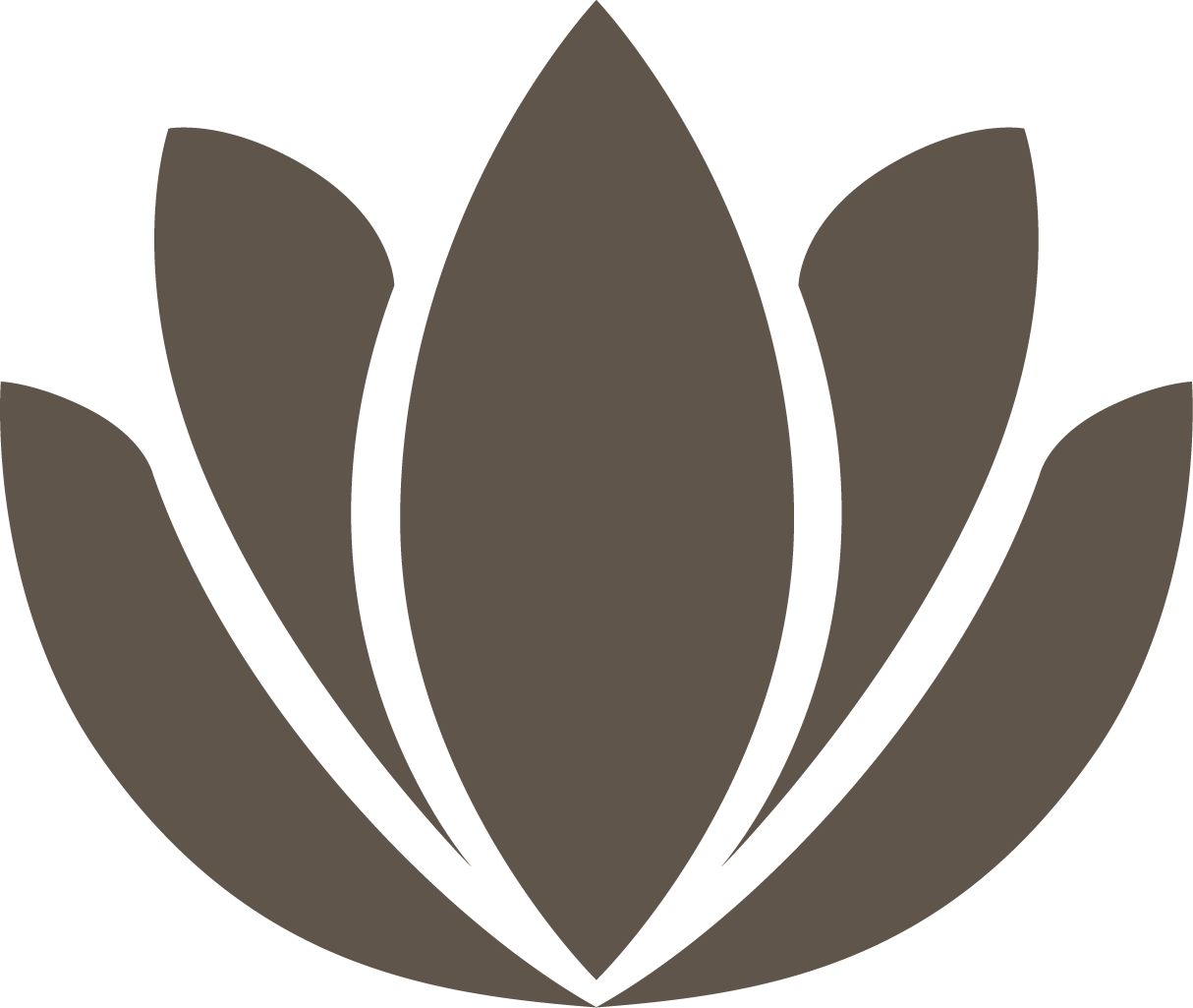 Schlichte graue Blume mit großen Blütenblättern vor schwarzem Hintergrund.