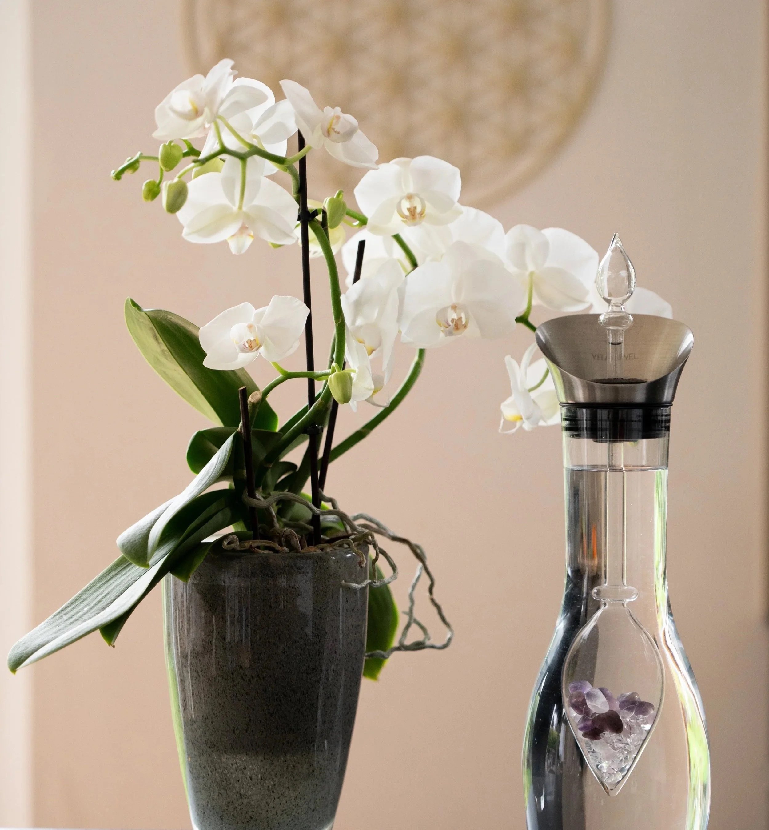 Weiße Orchidee in einer grauen Vase und ein dekoratives Glasgefäß mit Kristallen