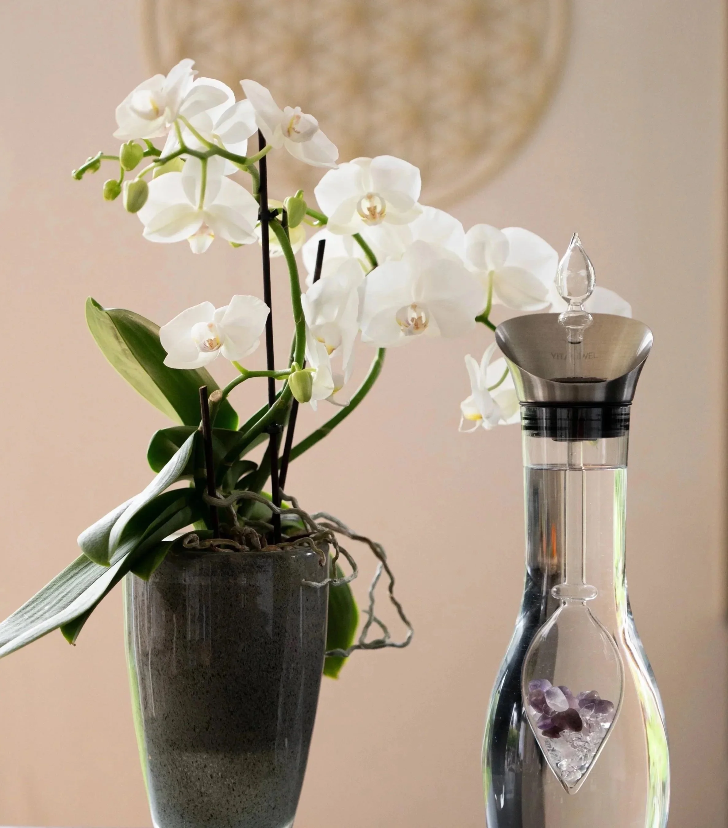 Weiße Orchidee in einem grauen Blumentopf neben einer Dekantierkaraffe mit Kristallen und Blätern.